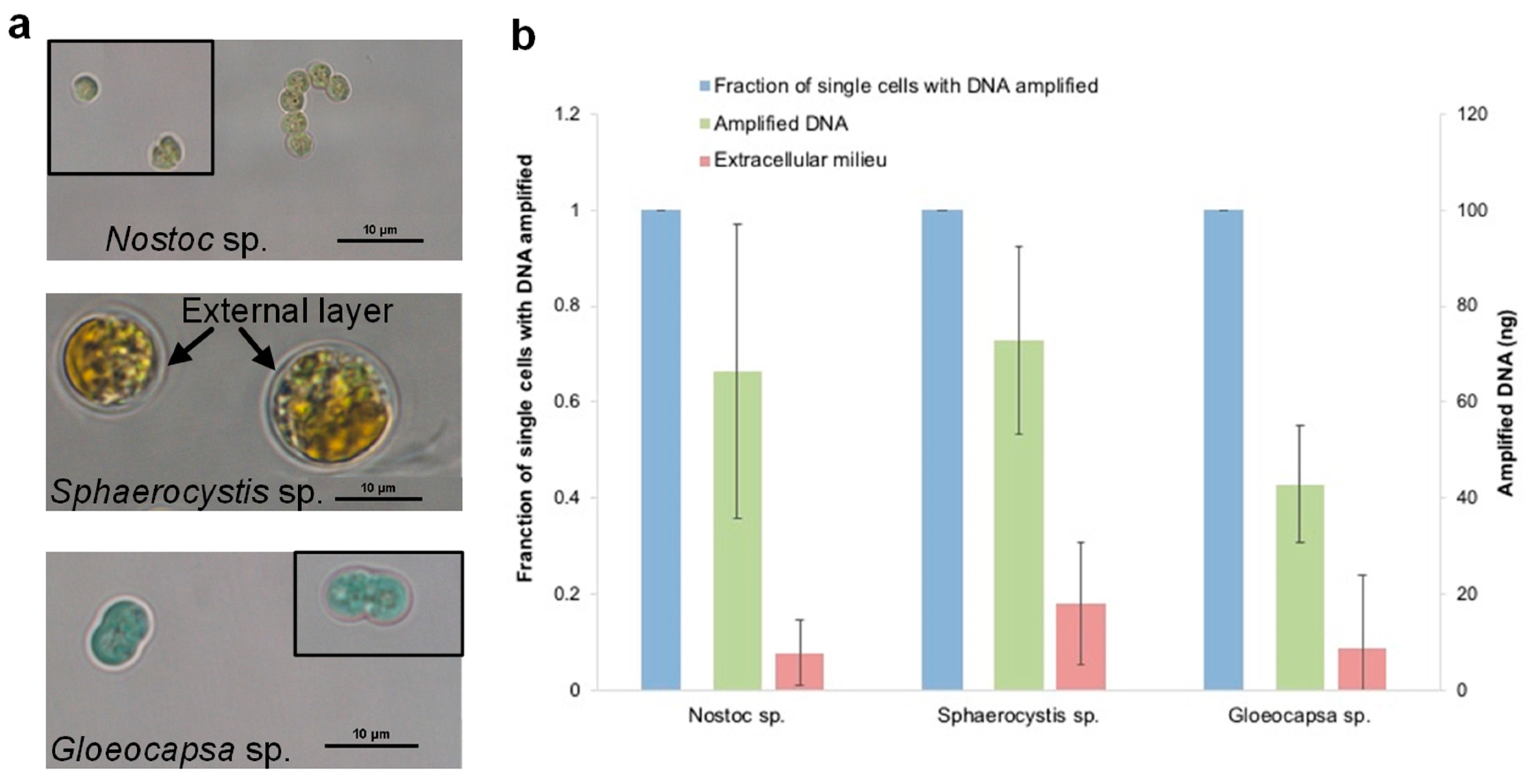Micromachines 09 00367 g009