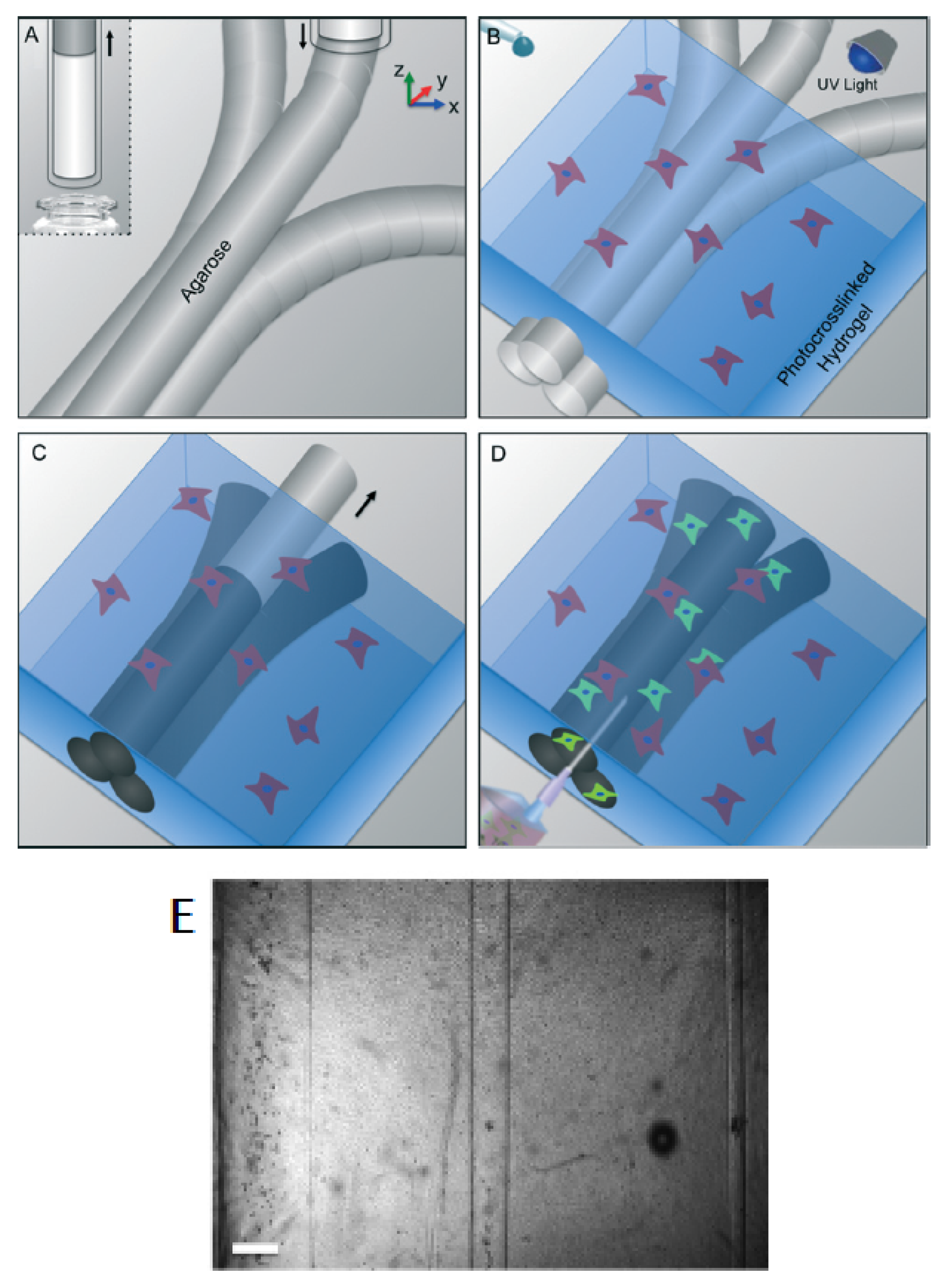 Micromachines 09 00374 g016