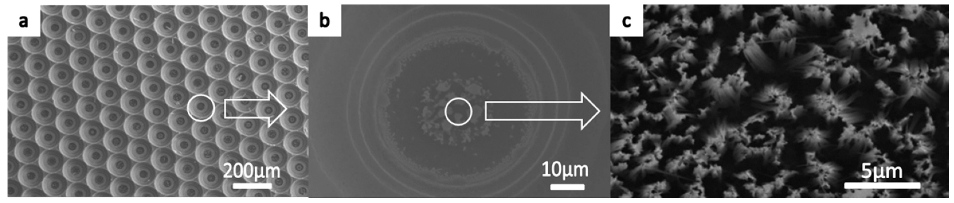 Micromachines 09 00385 g004