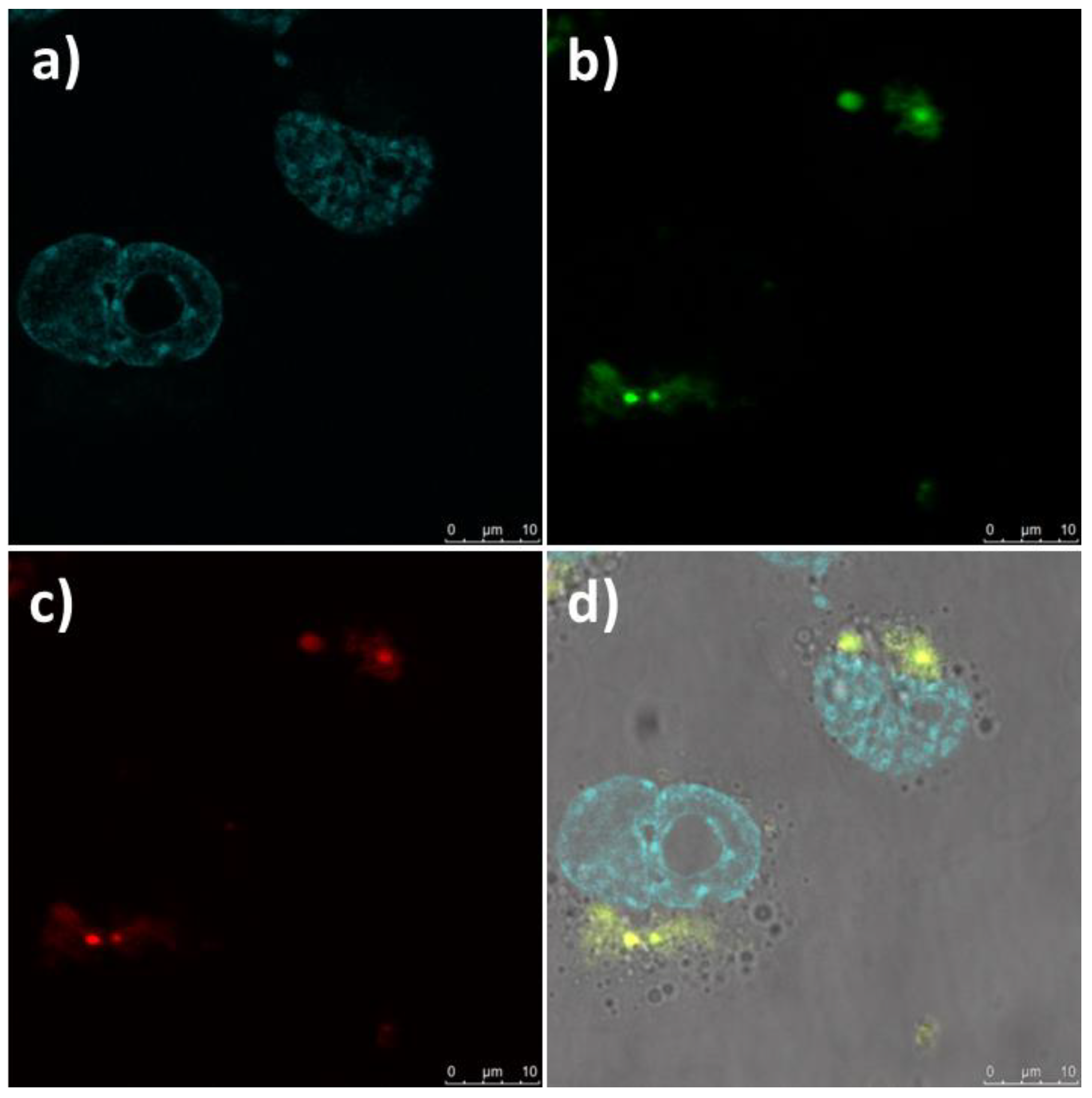 Micromachines 09 00400 g006 Micromachines 09 00400 g006