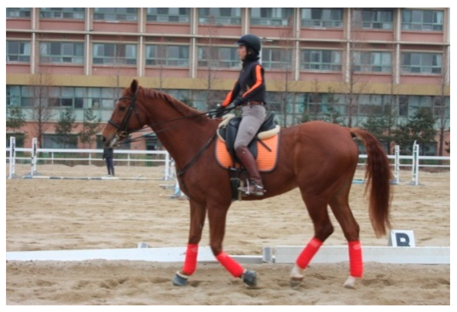 Micromachines 09 00411 g008