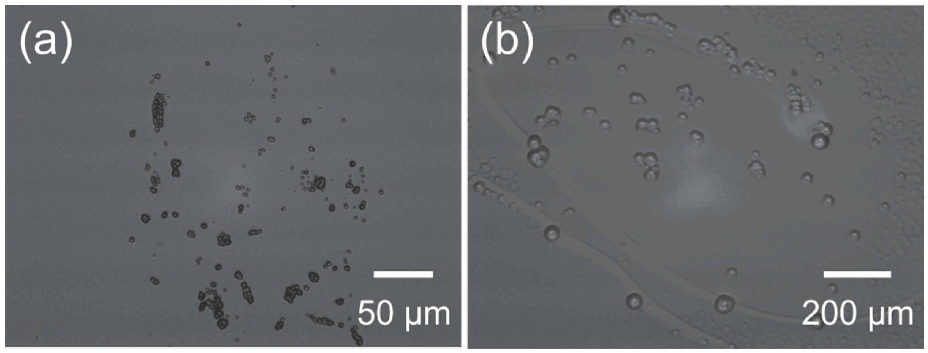 Micromachines 09 00422 g011