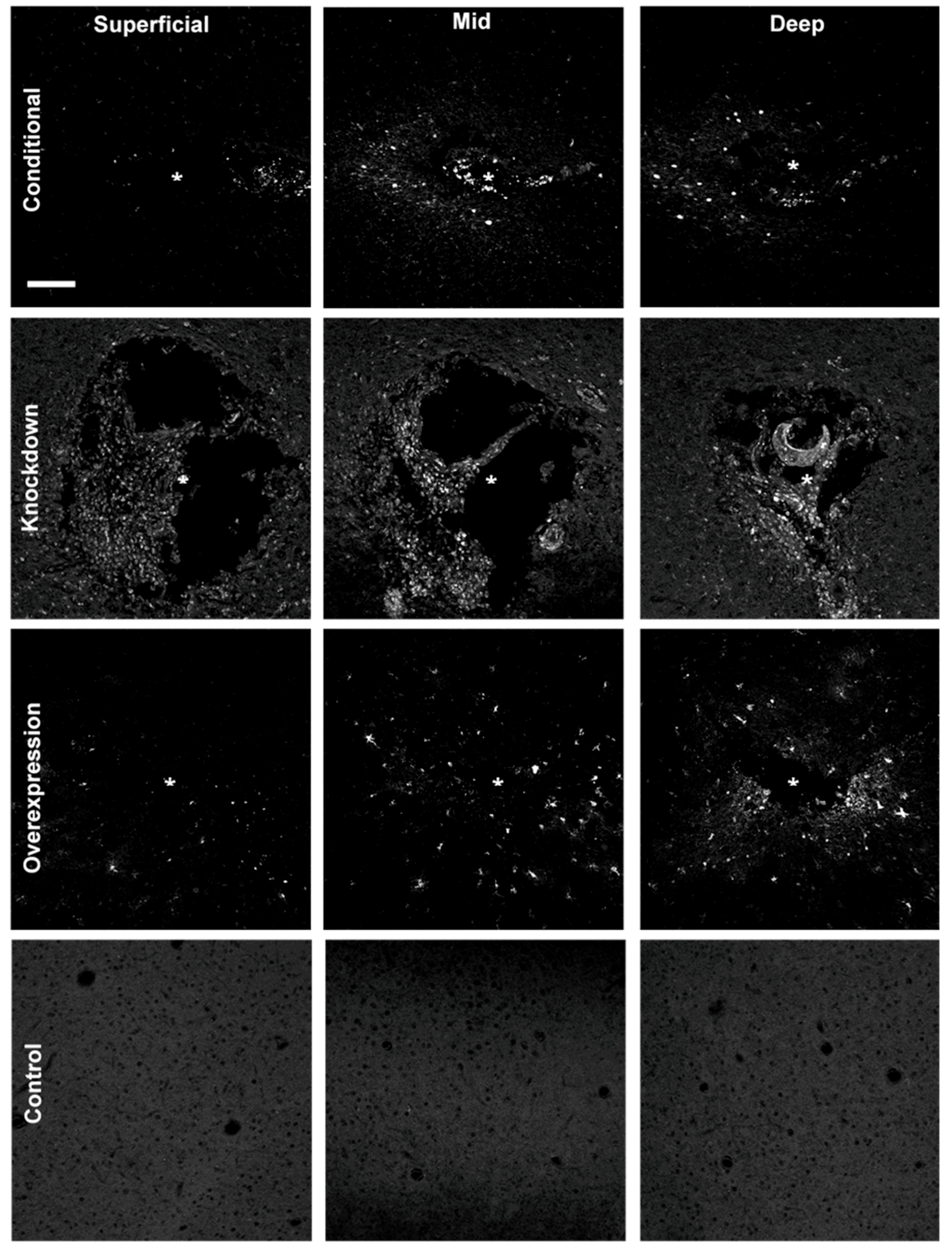 Micromachines 09 00476 g004