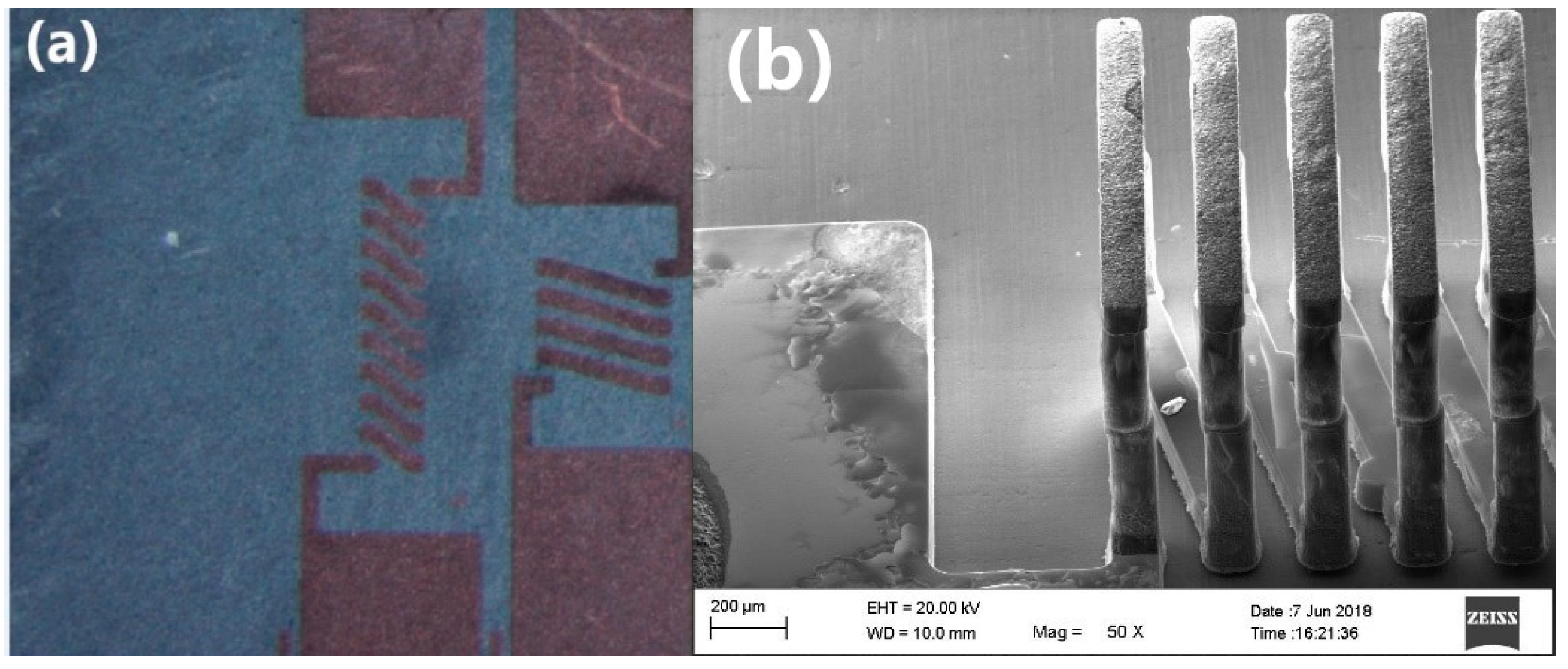 Micromachines 09 00528 g010