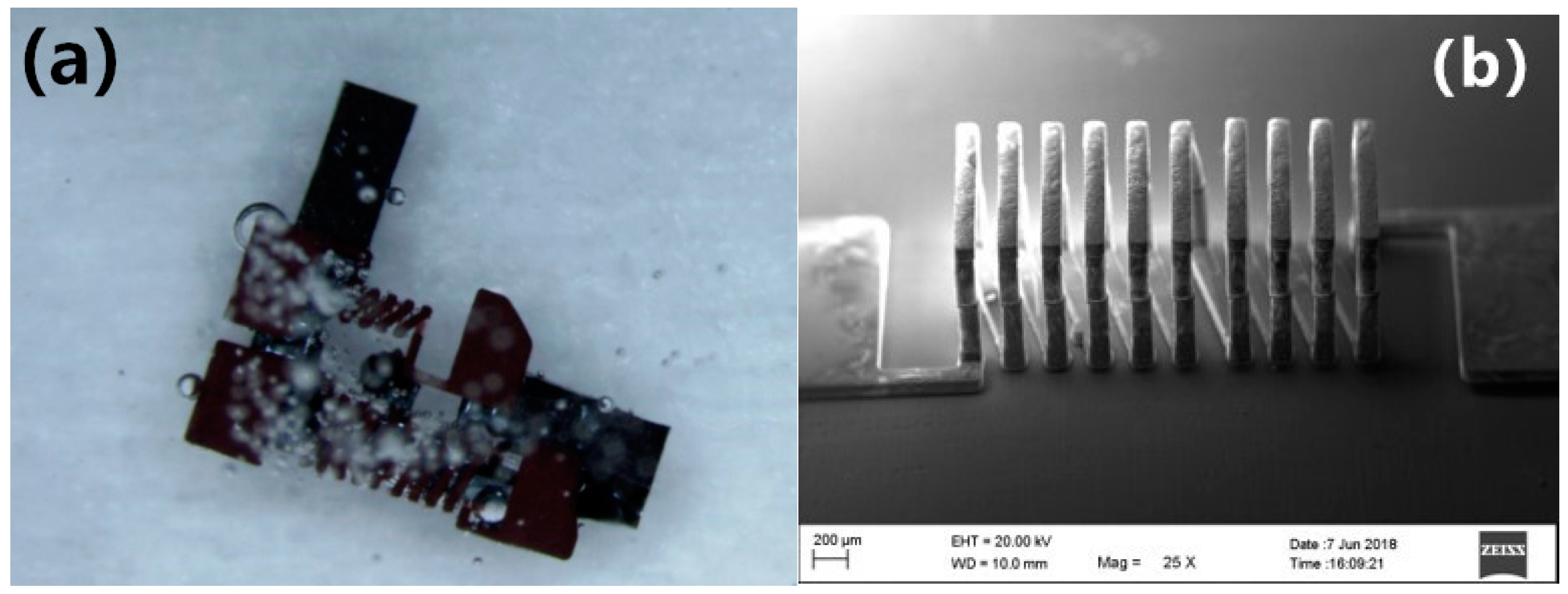 Micromachines 09 00528 g011