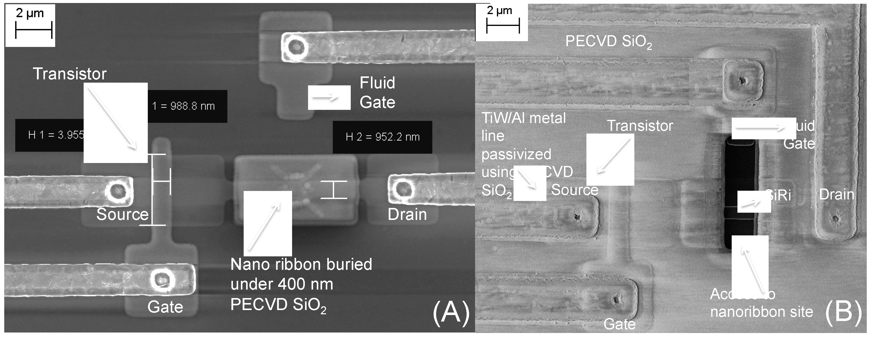 Micromachines 09 00544 g004