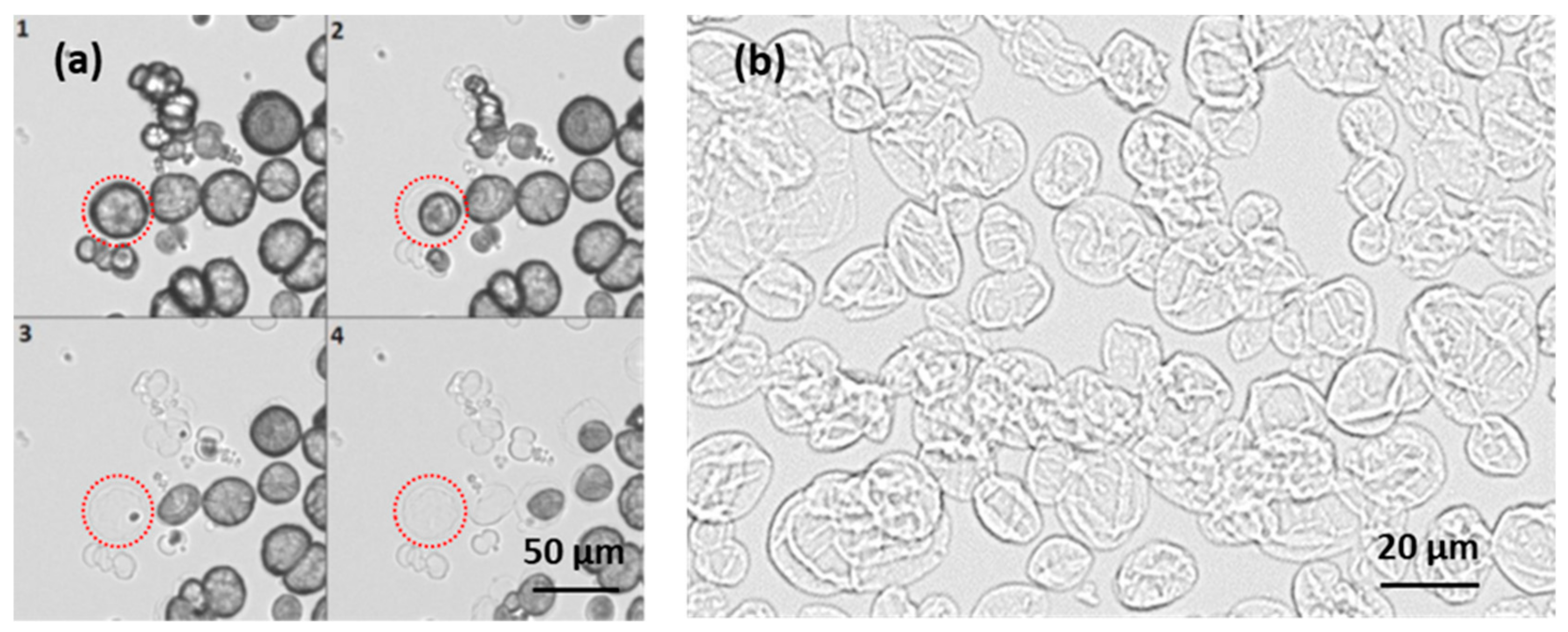 Micromachines 09 00547 g003