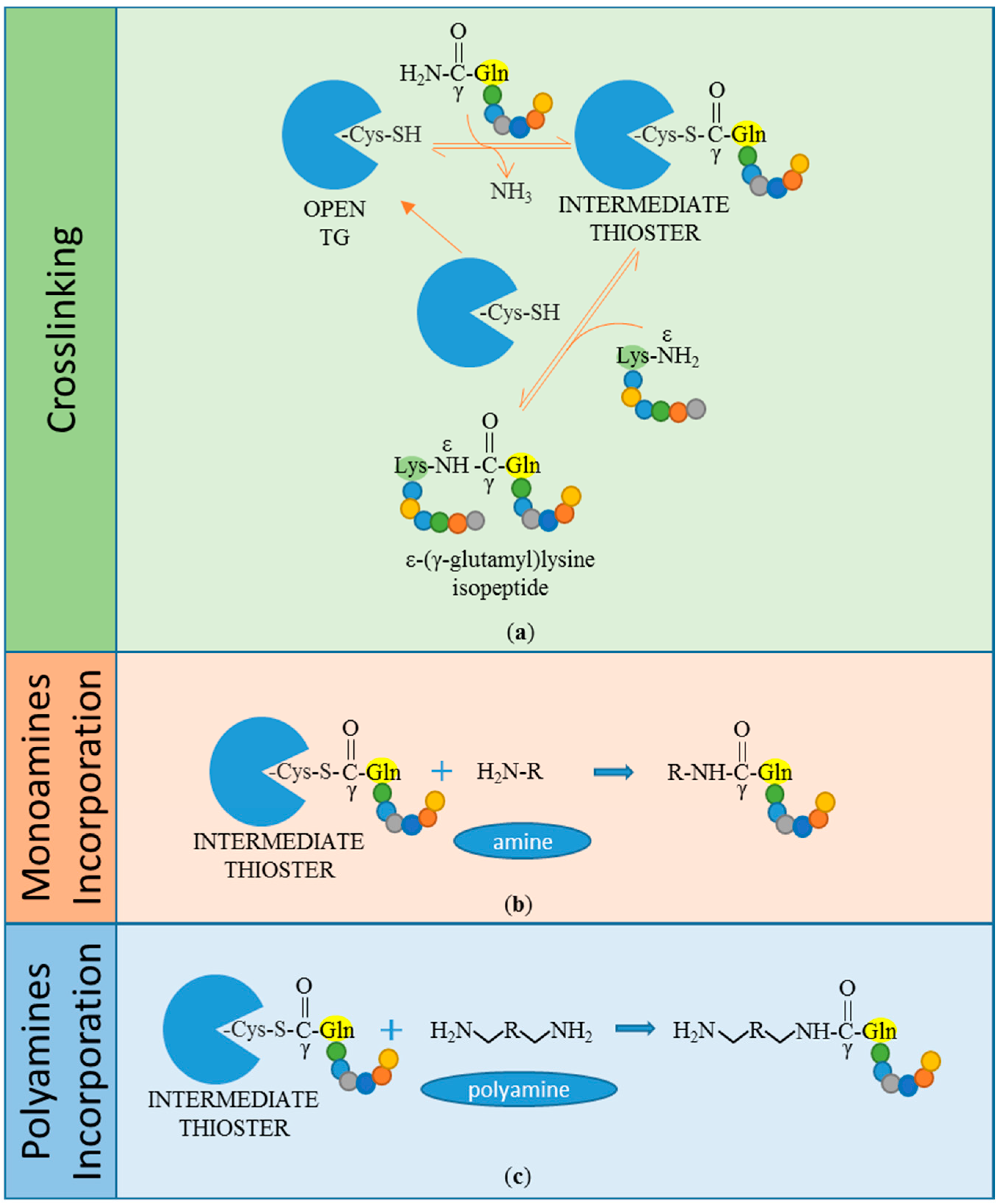 Micromachines 09 00562 g001