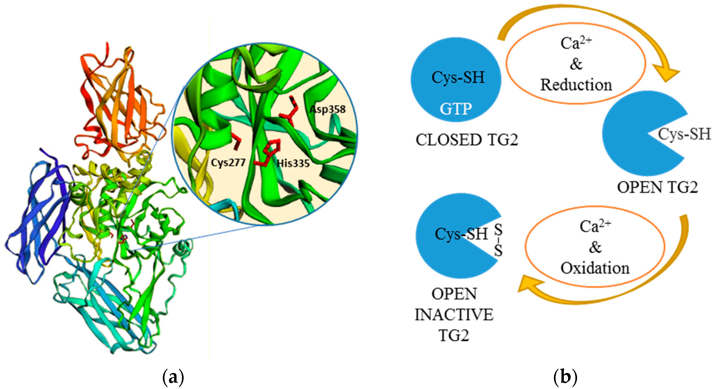 Micromachines 09 00562 g002