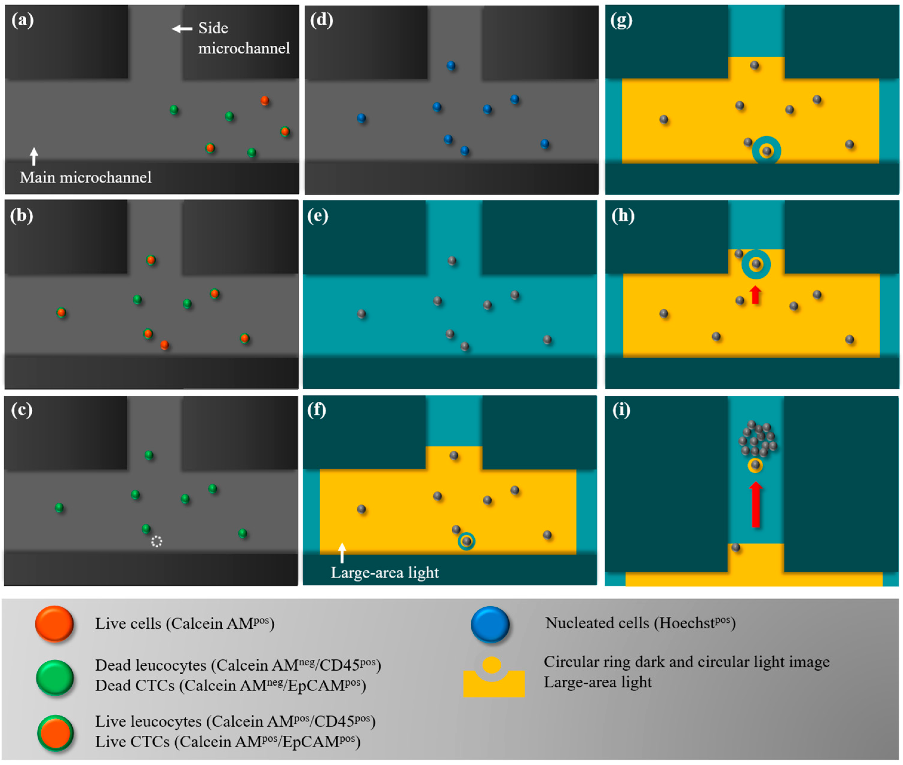 Micromachines 09 00563 g002