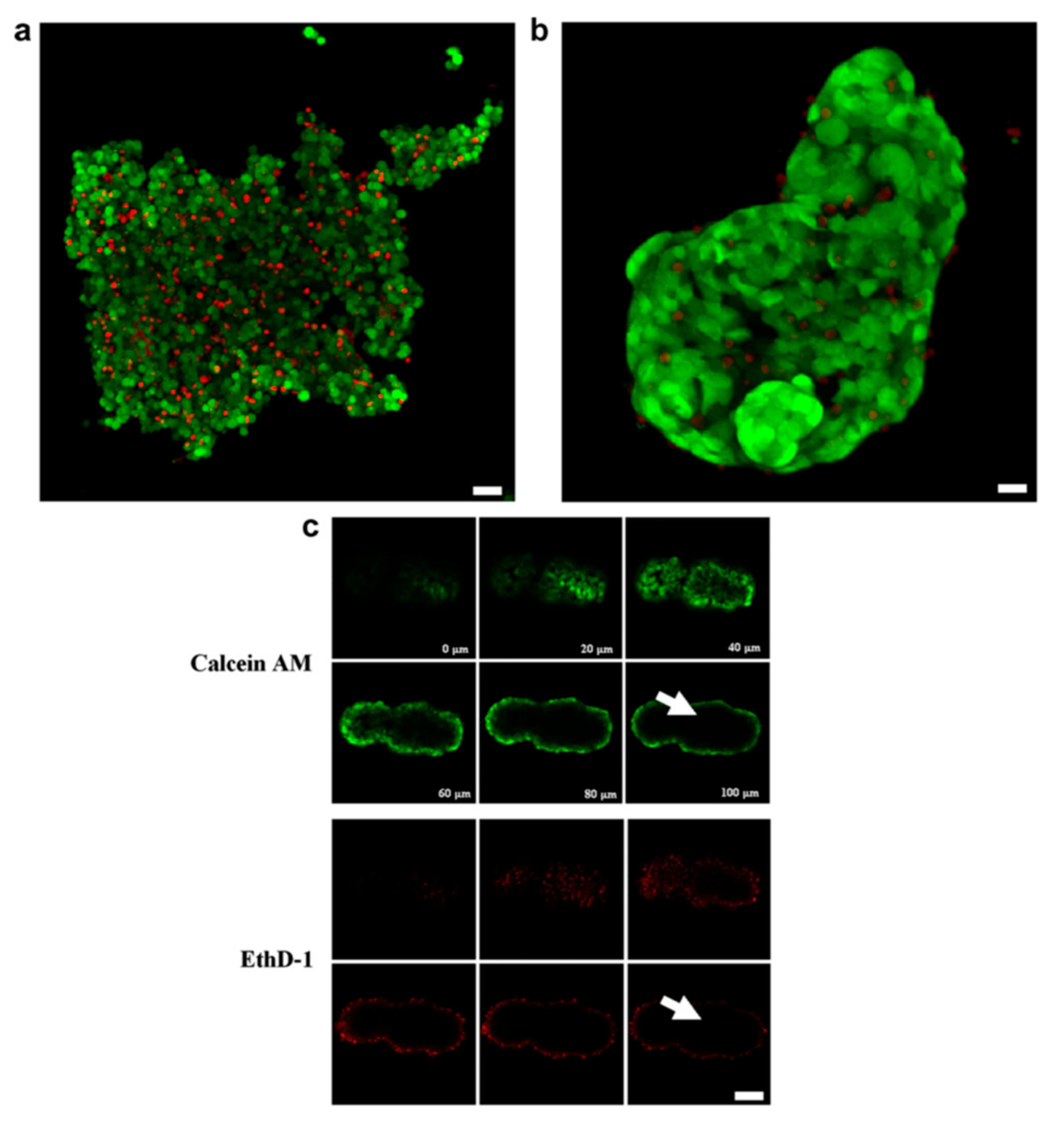Micromachines 09 00594 g002