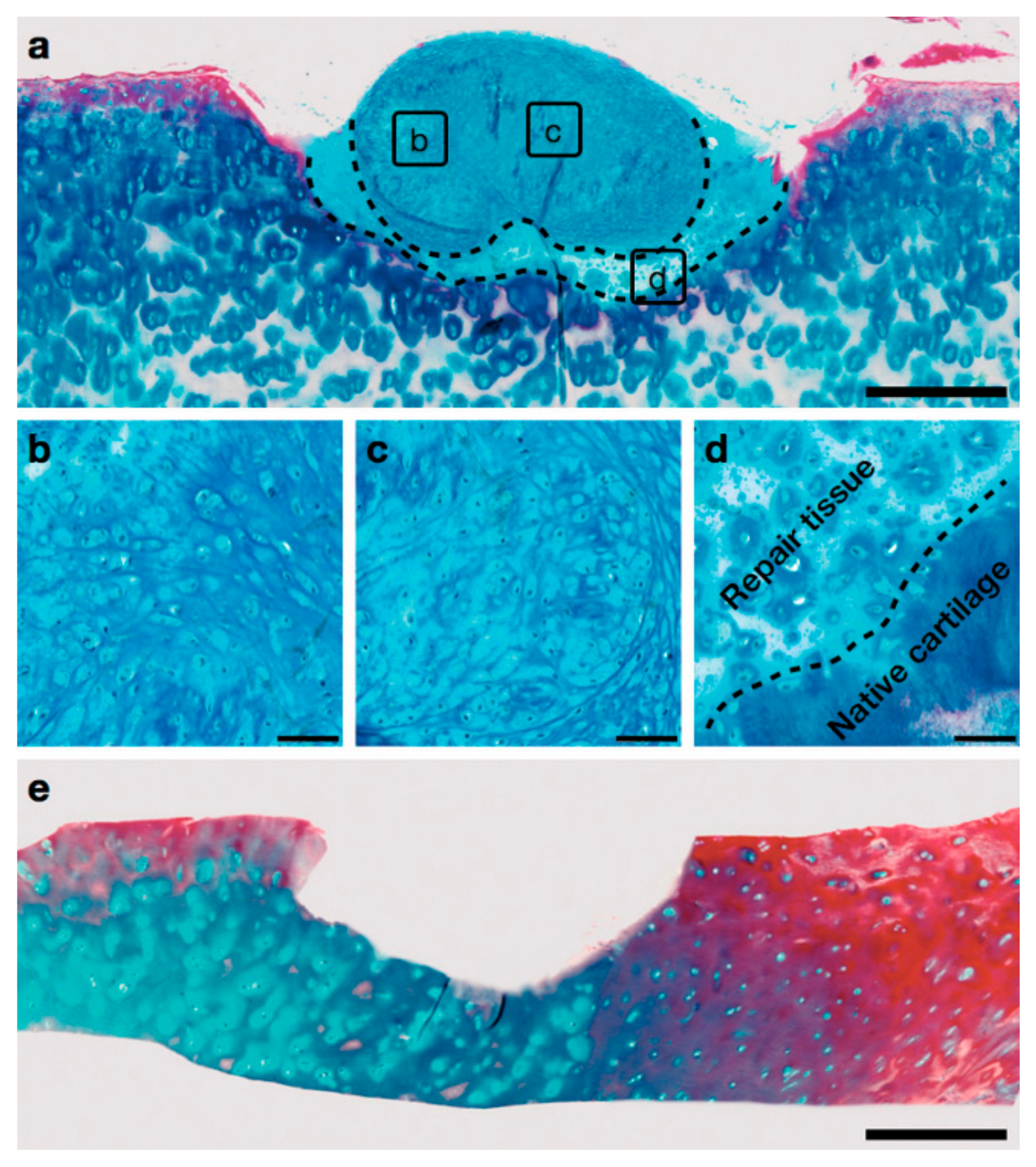 Micromachines 09 00594 g007