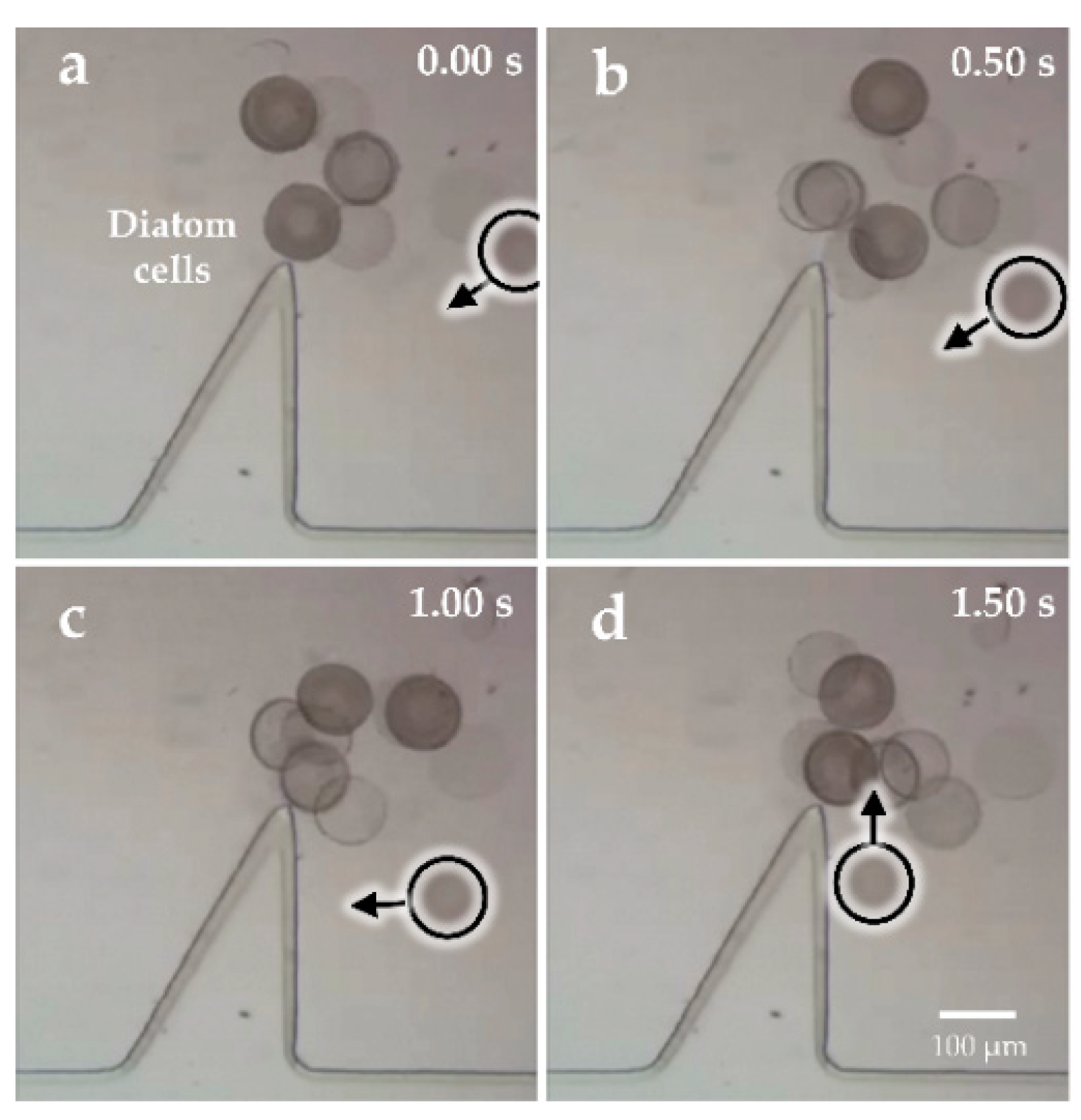 Micromachines 09 00596 g011