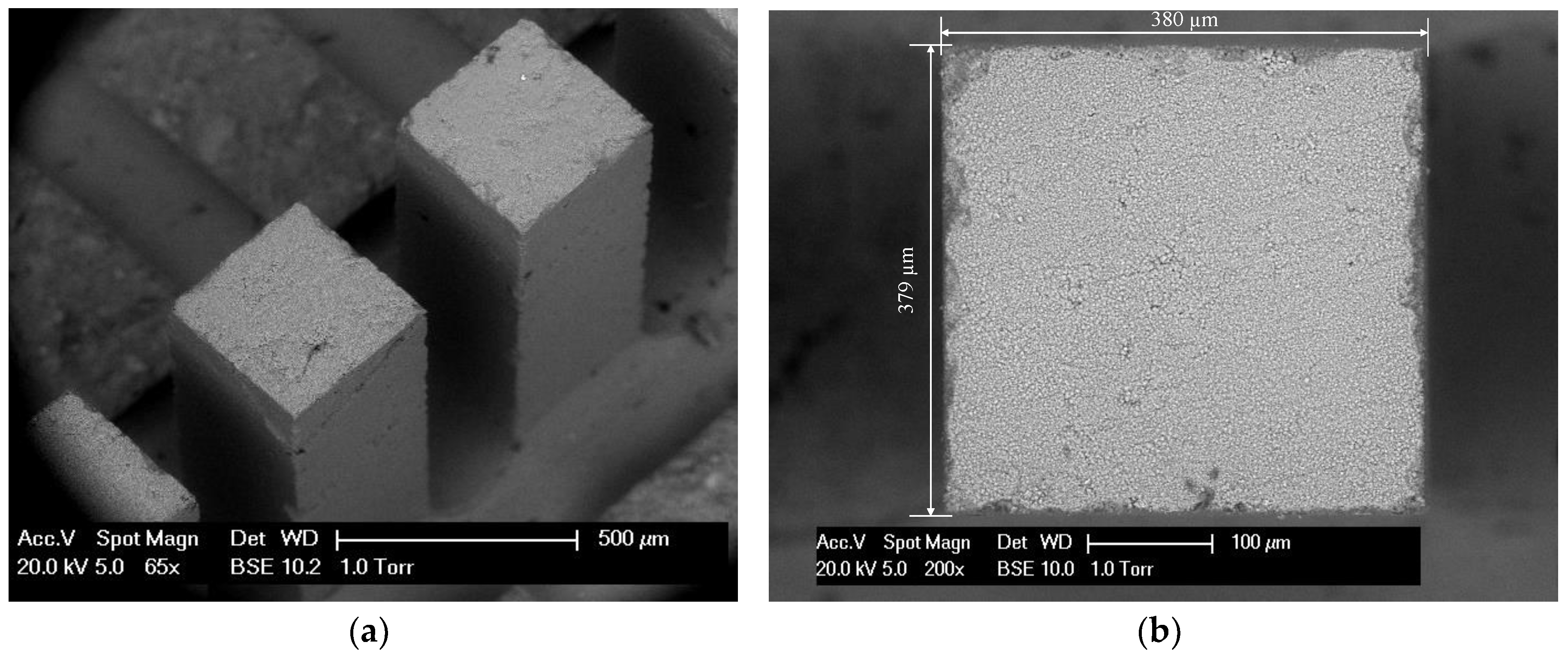 Micromachines 09 00630 g002