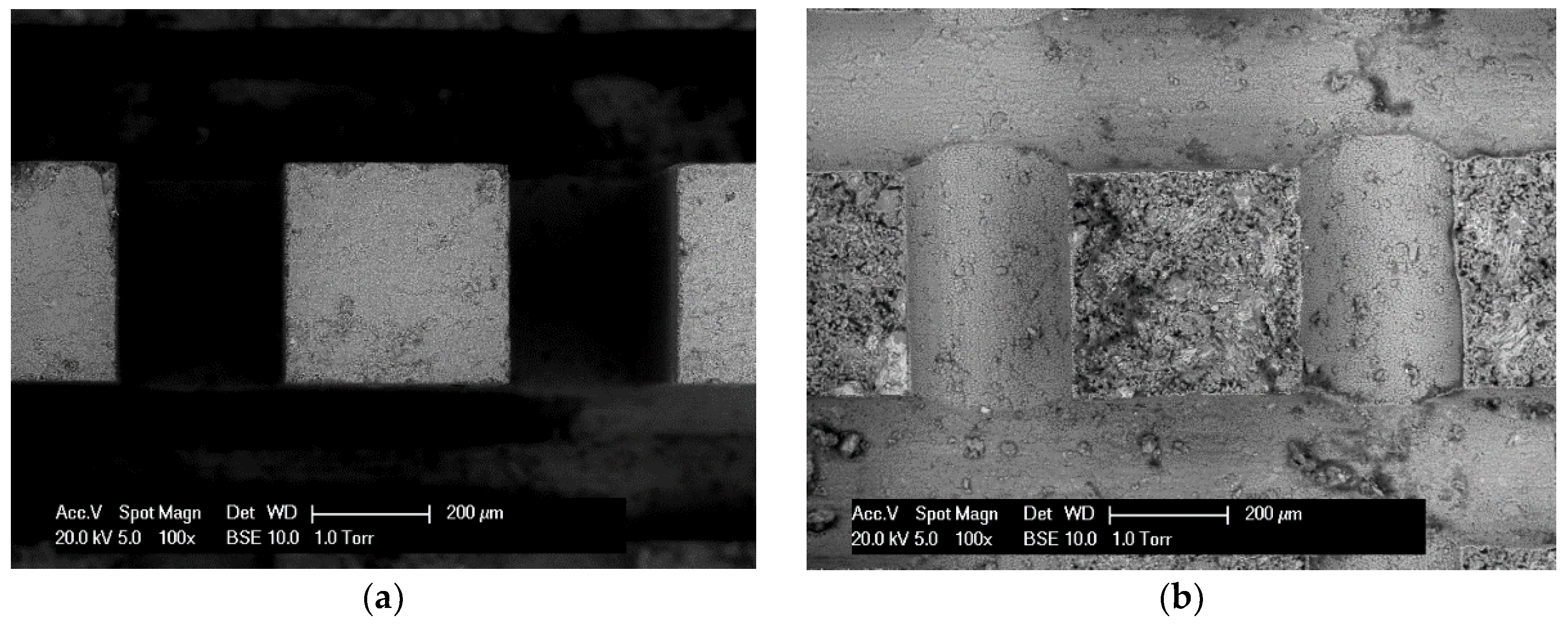 Micromachines 09 00630 g006