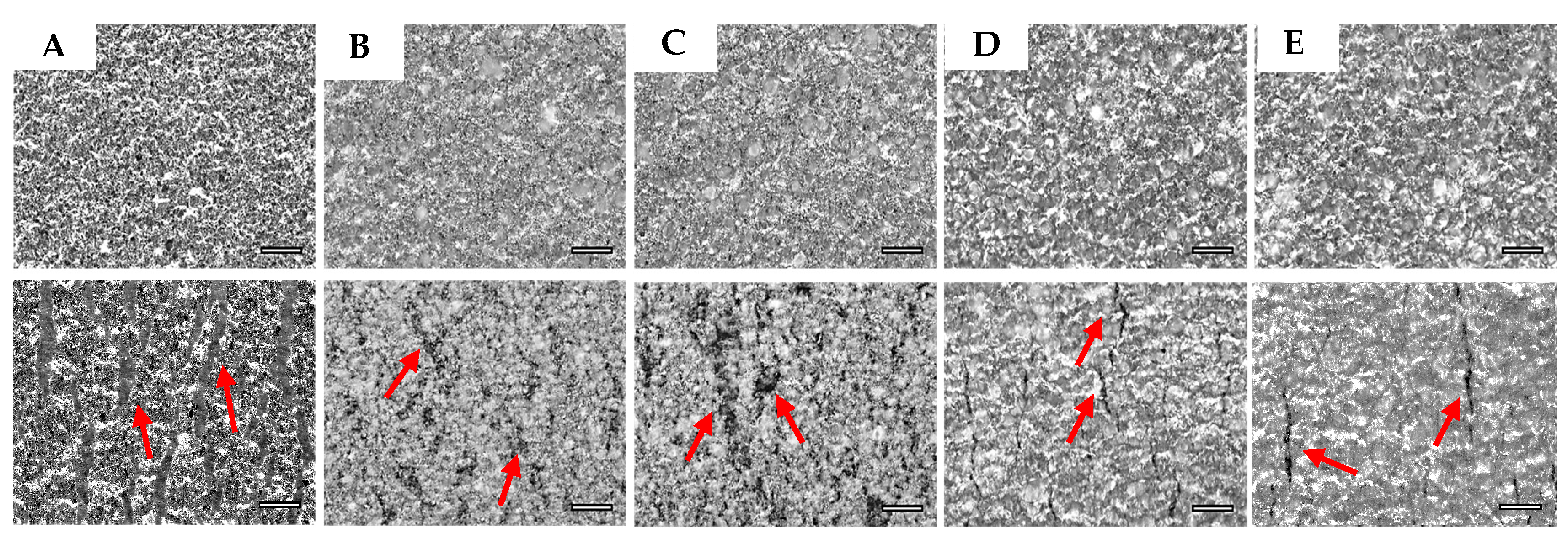 Micromachines 09 00645 g009