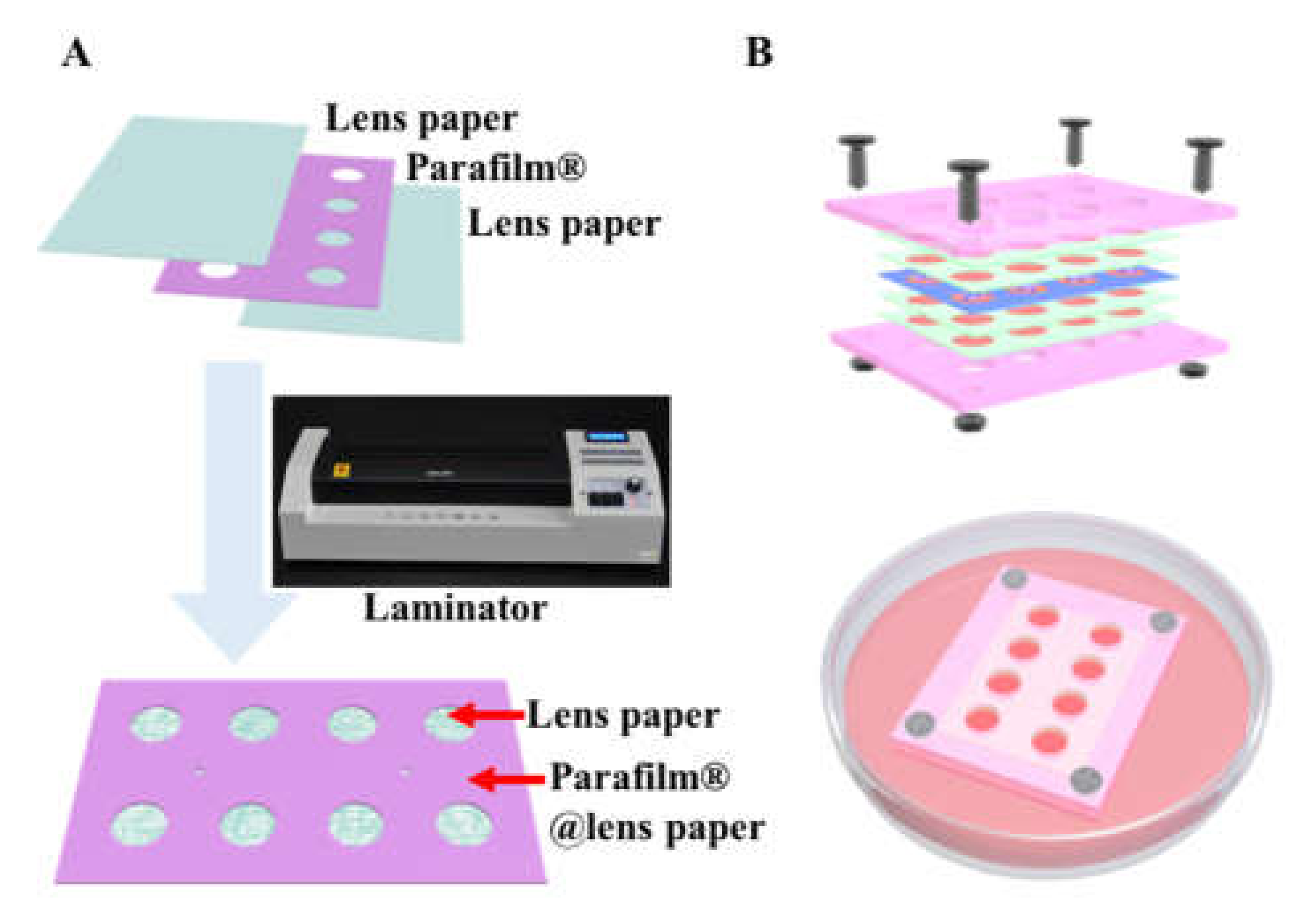 Micromachines 09 00660 g001