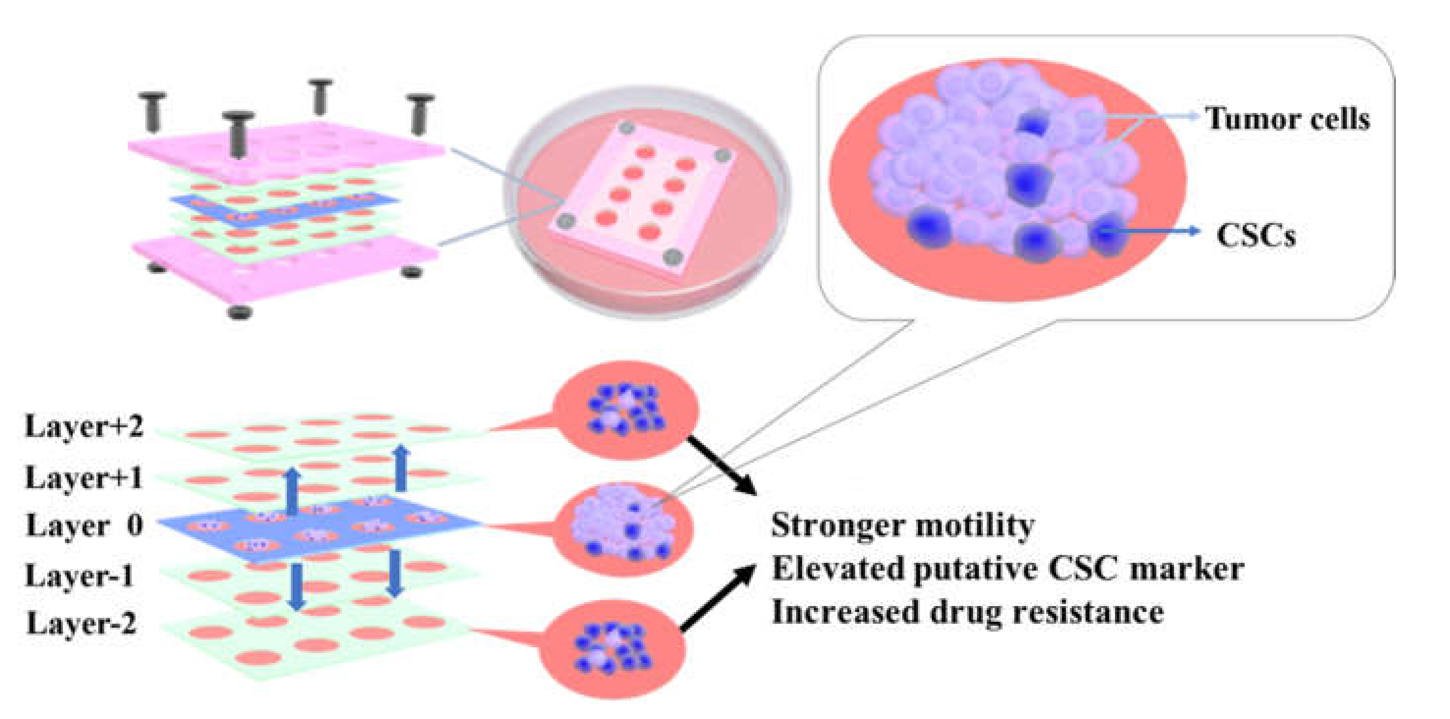 Micromachines 09 00660 sch001