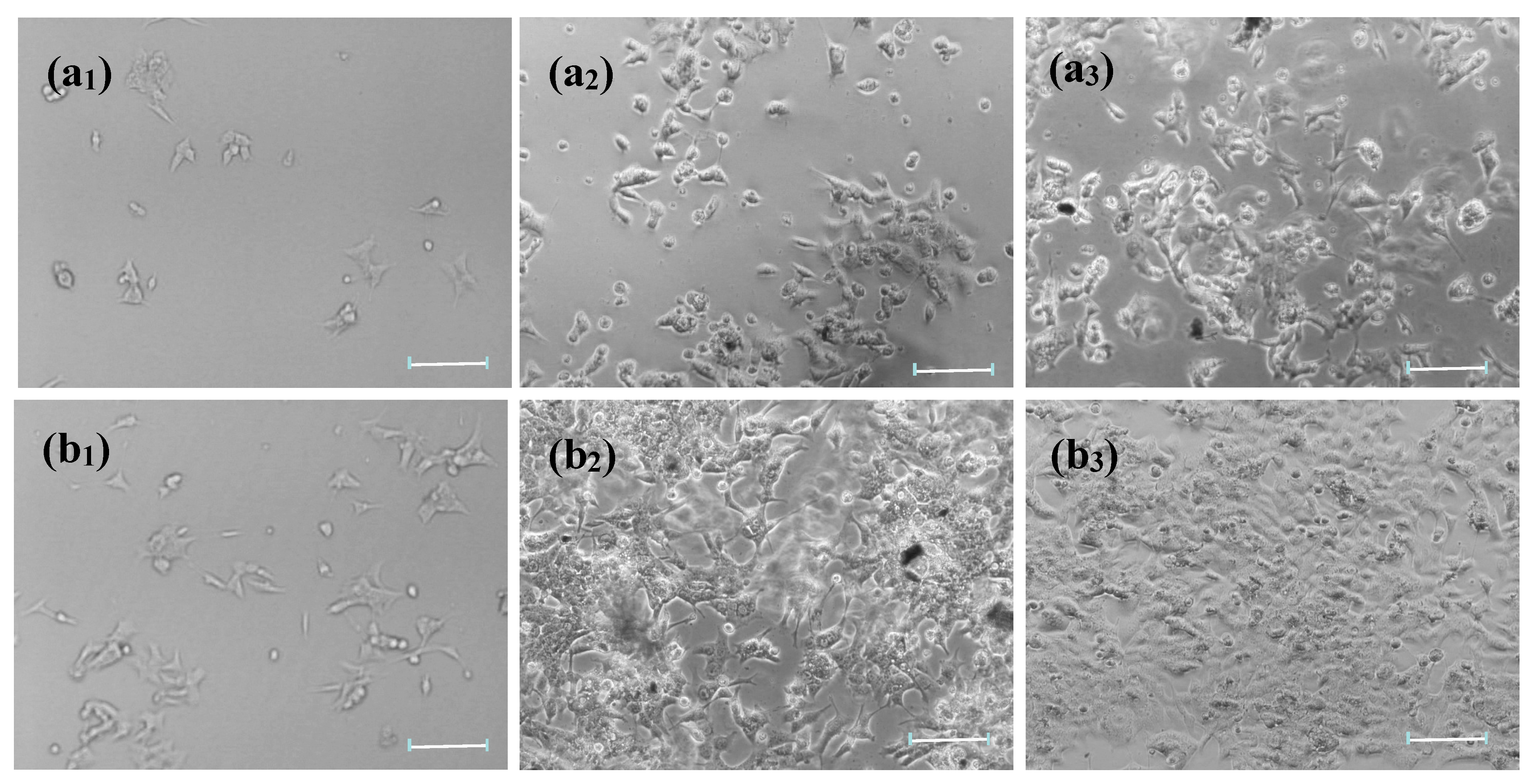 Micromachines 09 00669 g003