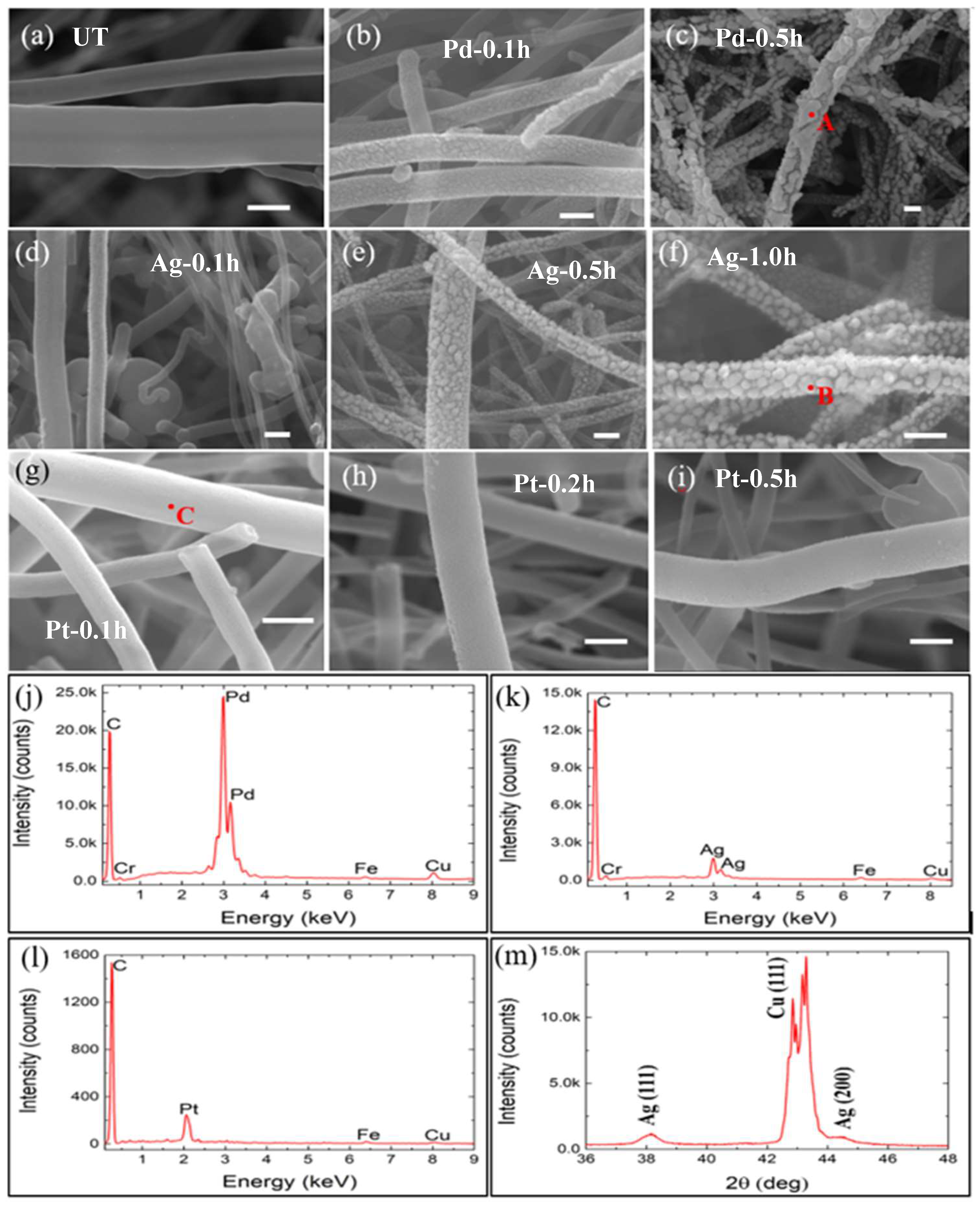 Micromachines 10 00002 g003