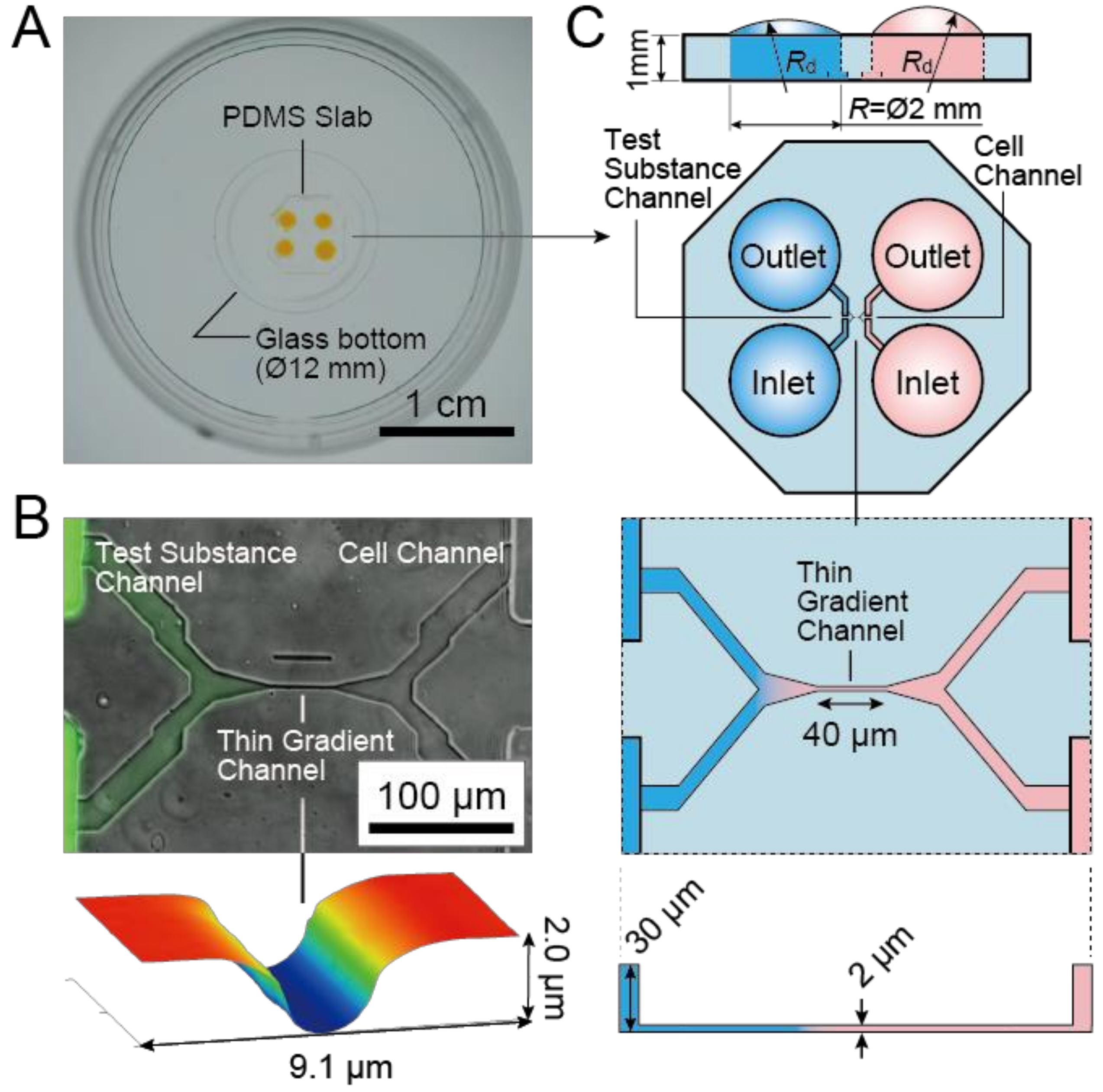 Micromachines 10 00009 g001