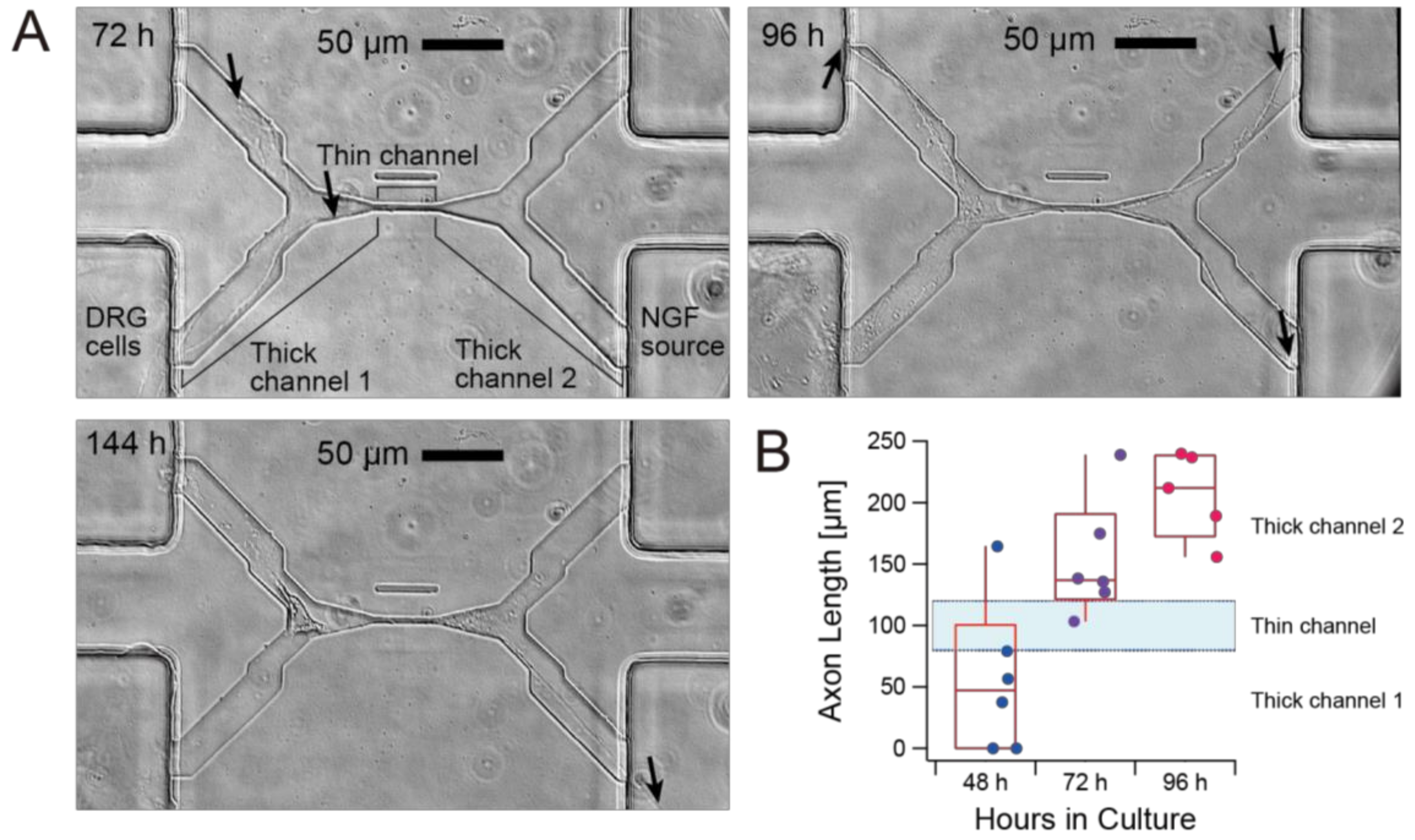 Micromachines 10 00009 g005
