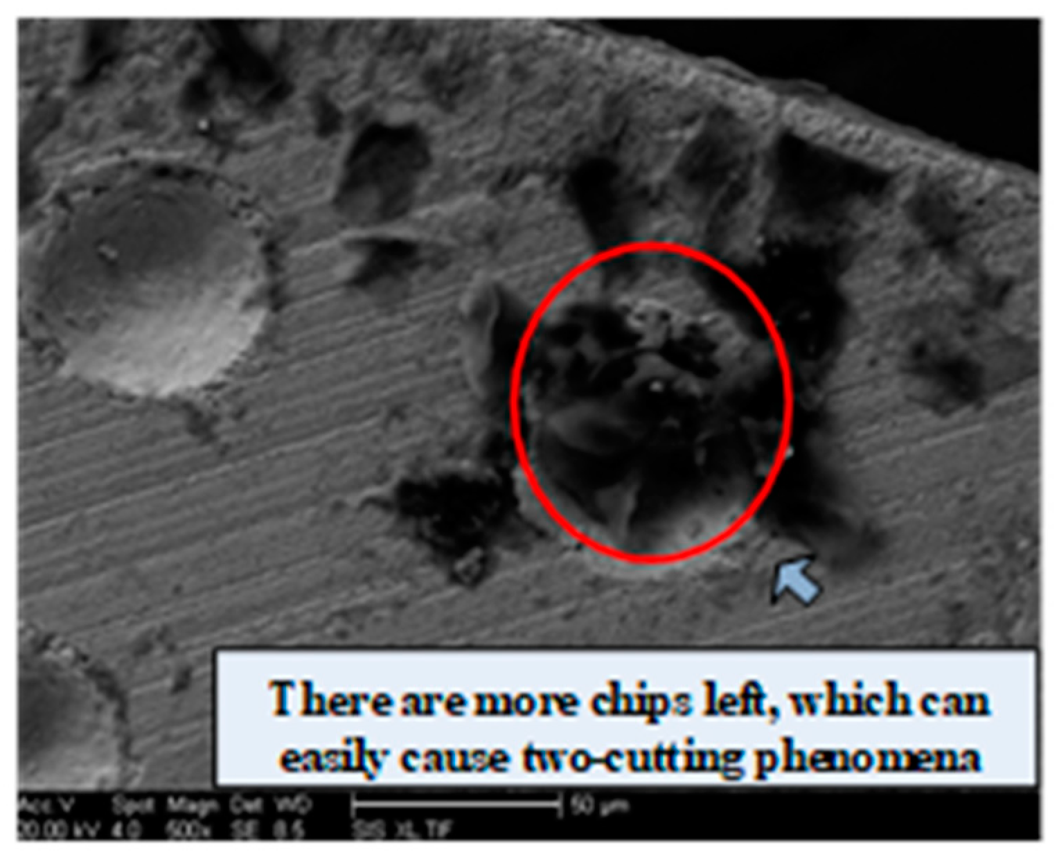 Micromachines 10 00021 g006