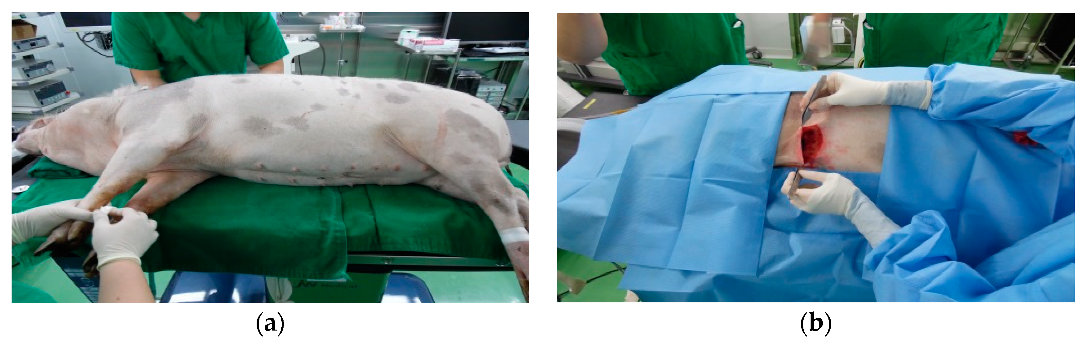 Micromachines 10 00038 g003