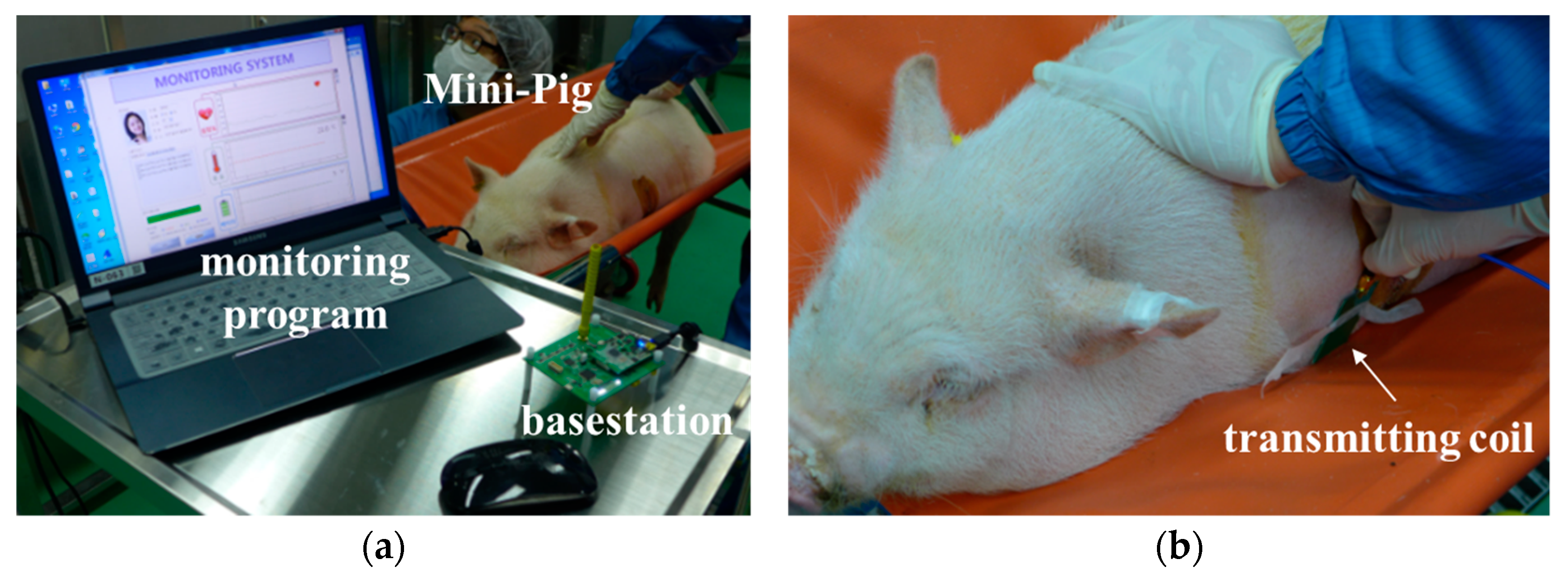 Micromachines 10 00038 g004