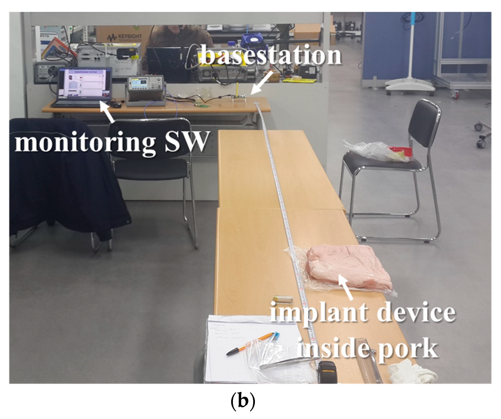 Micromachines 10 00038 g013b