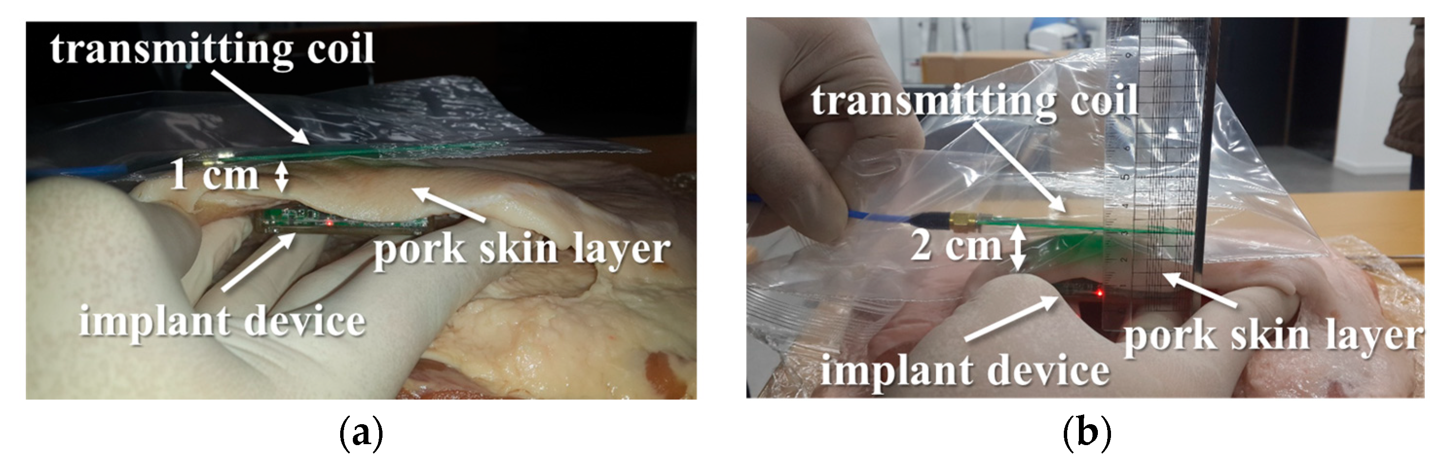 Micromachines 10 00038 g016