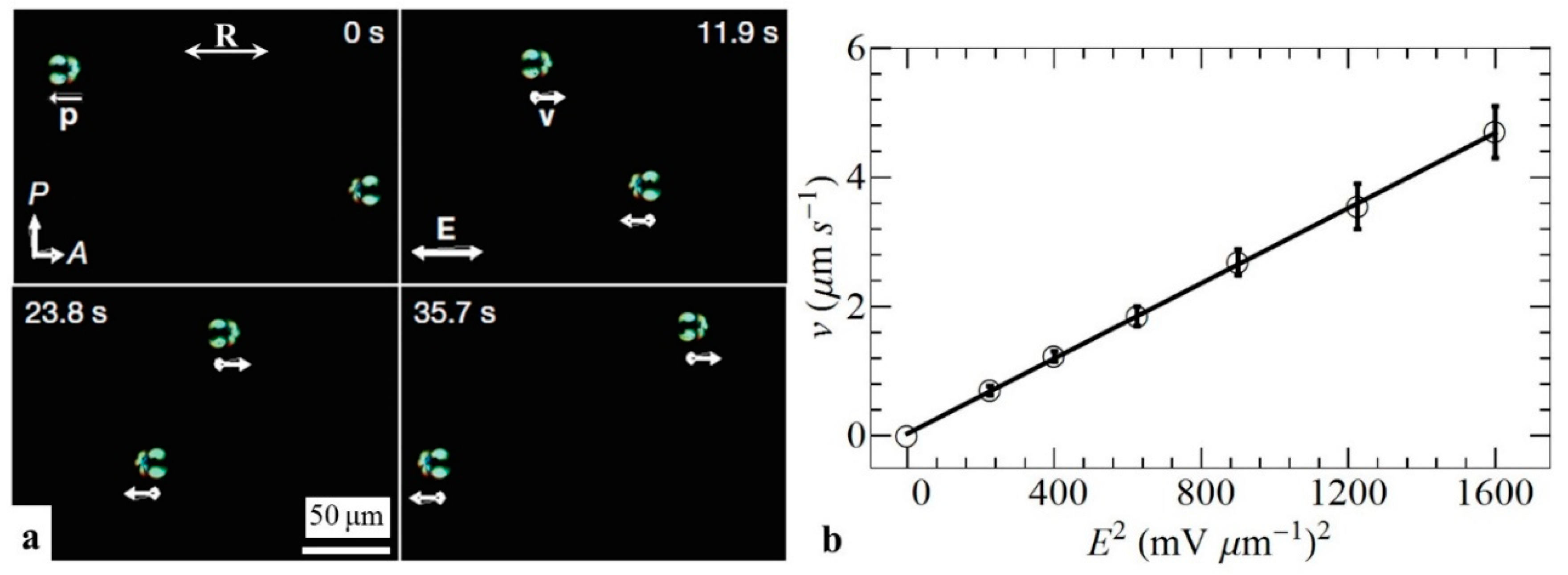 Micromachines 10 00045 g003