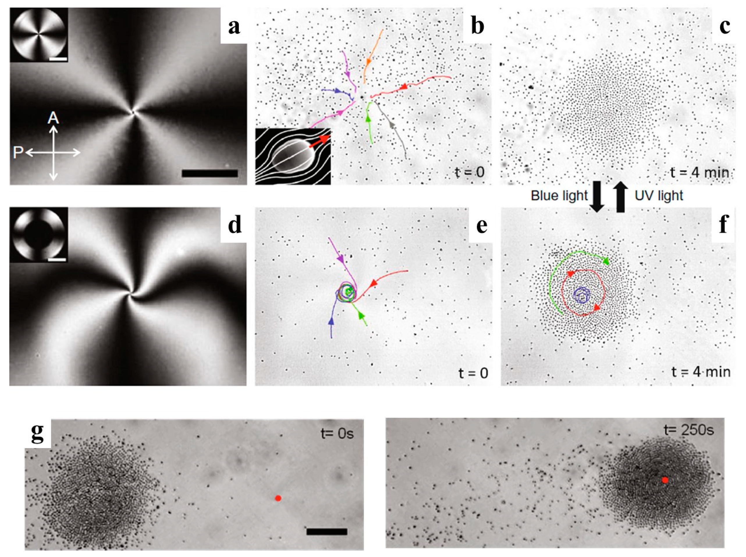 Micromachines 10 00045 g005