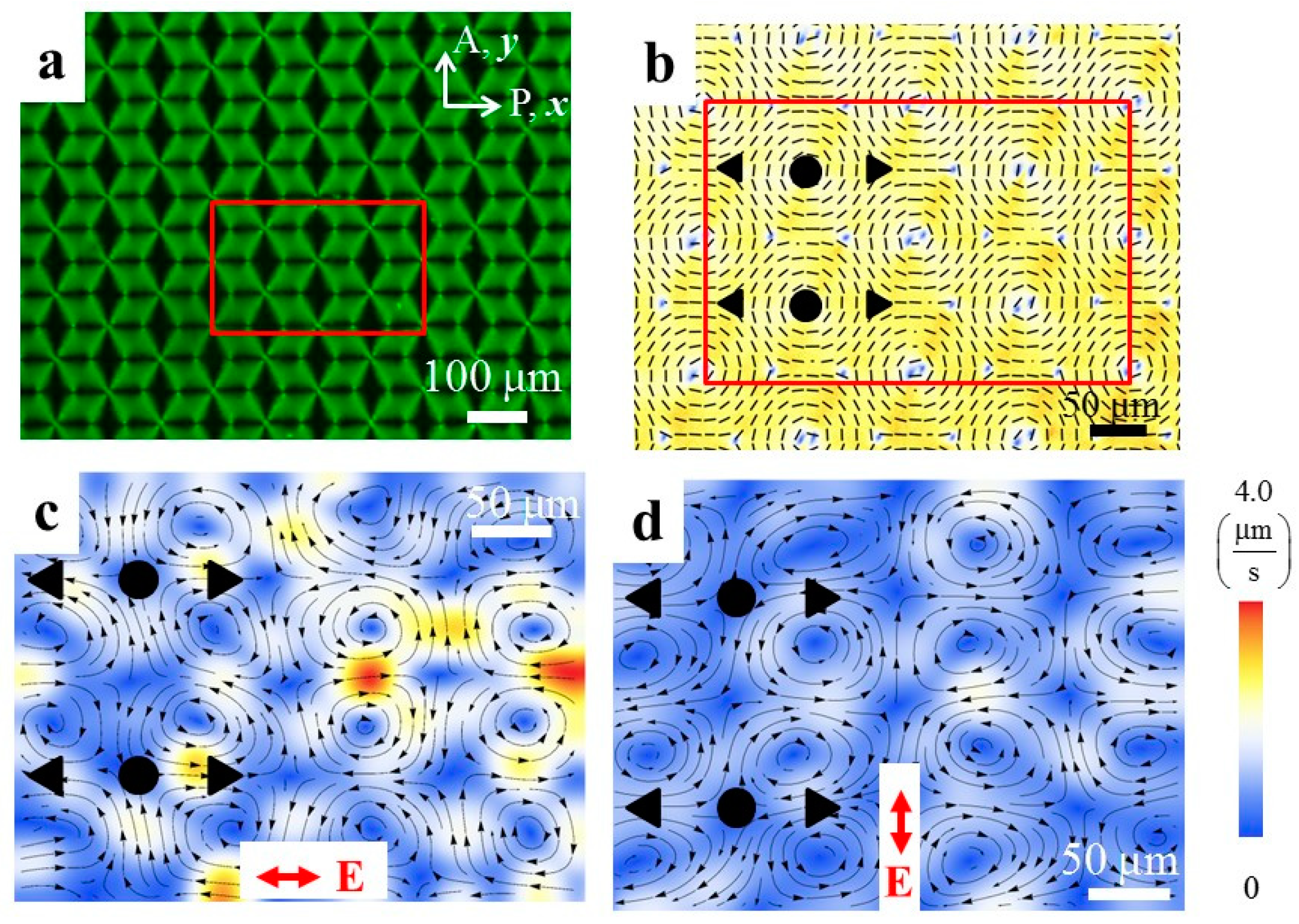 Micromachines 10 00045 g011