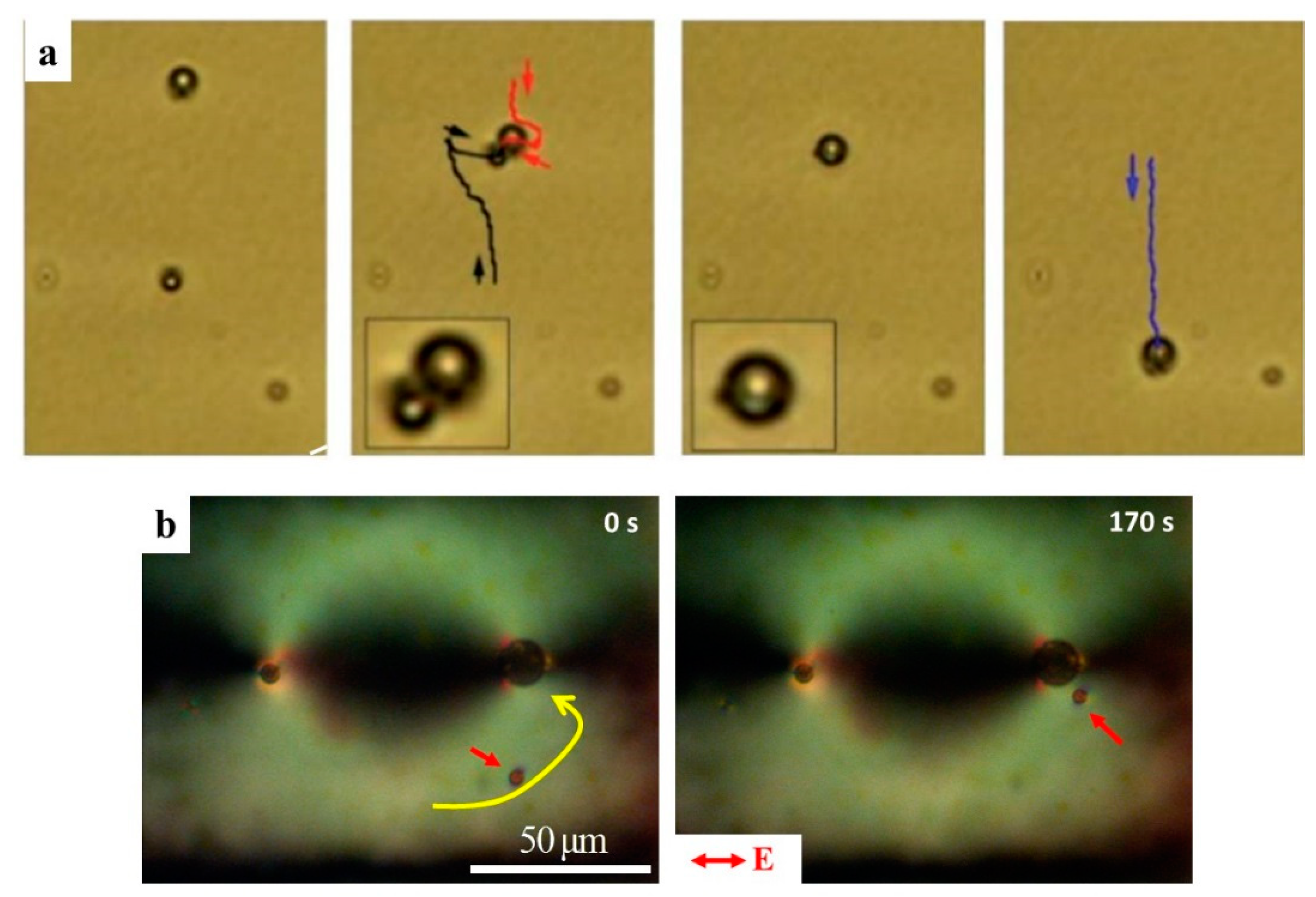Micromachines 10 00045 g012