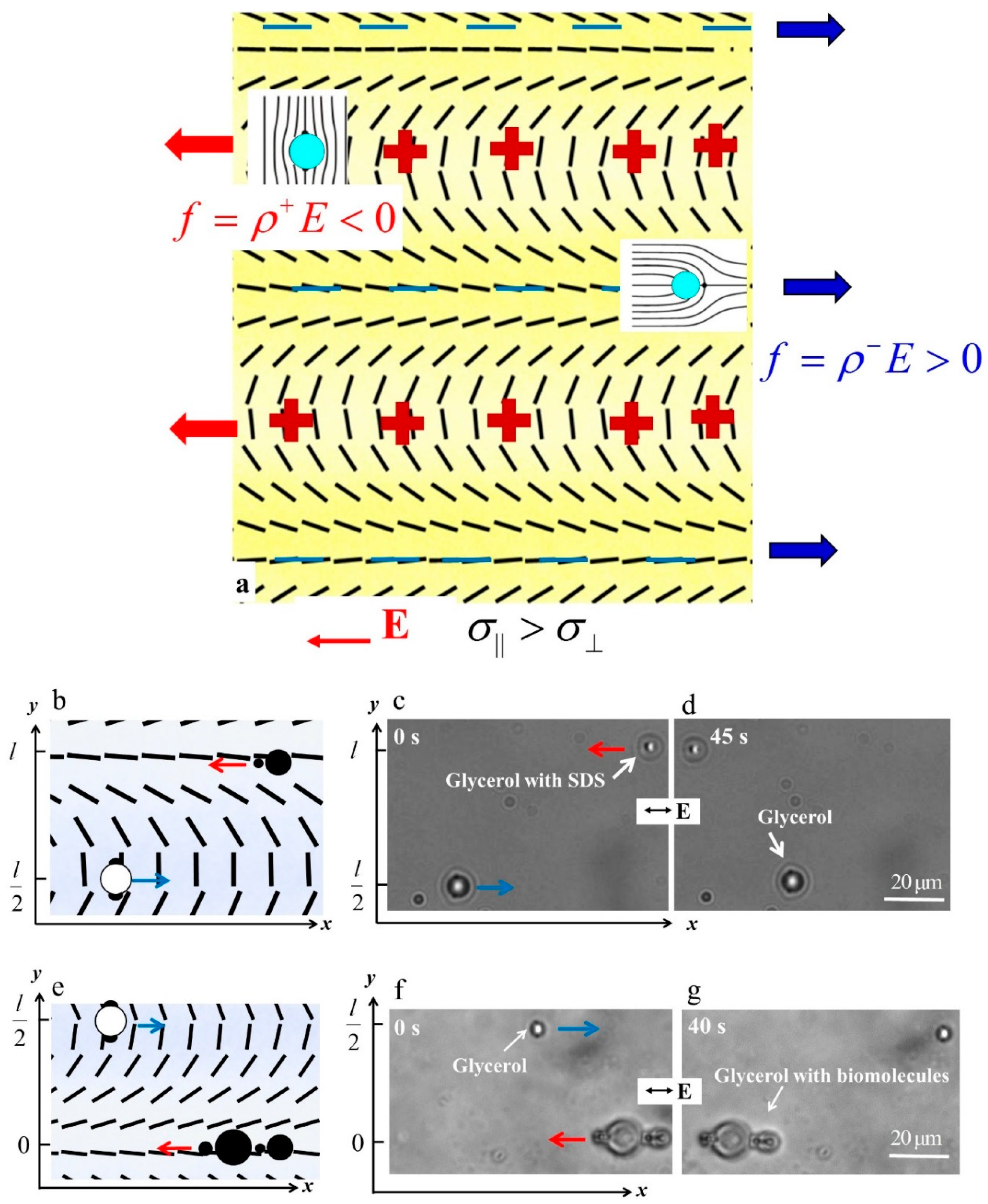 Micromachines 10 00045 g014