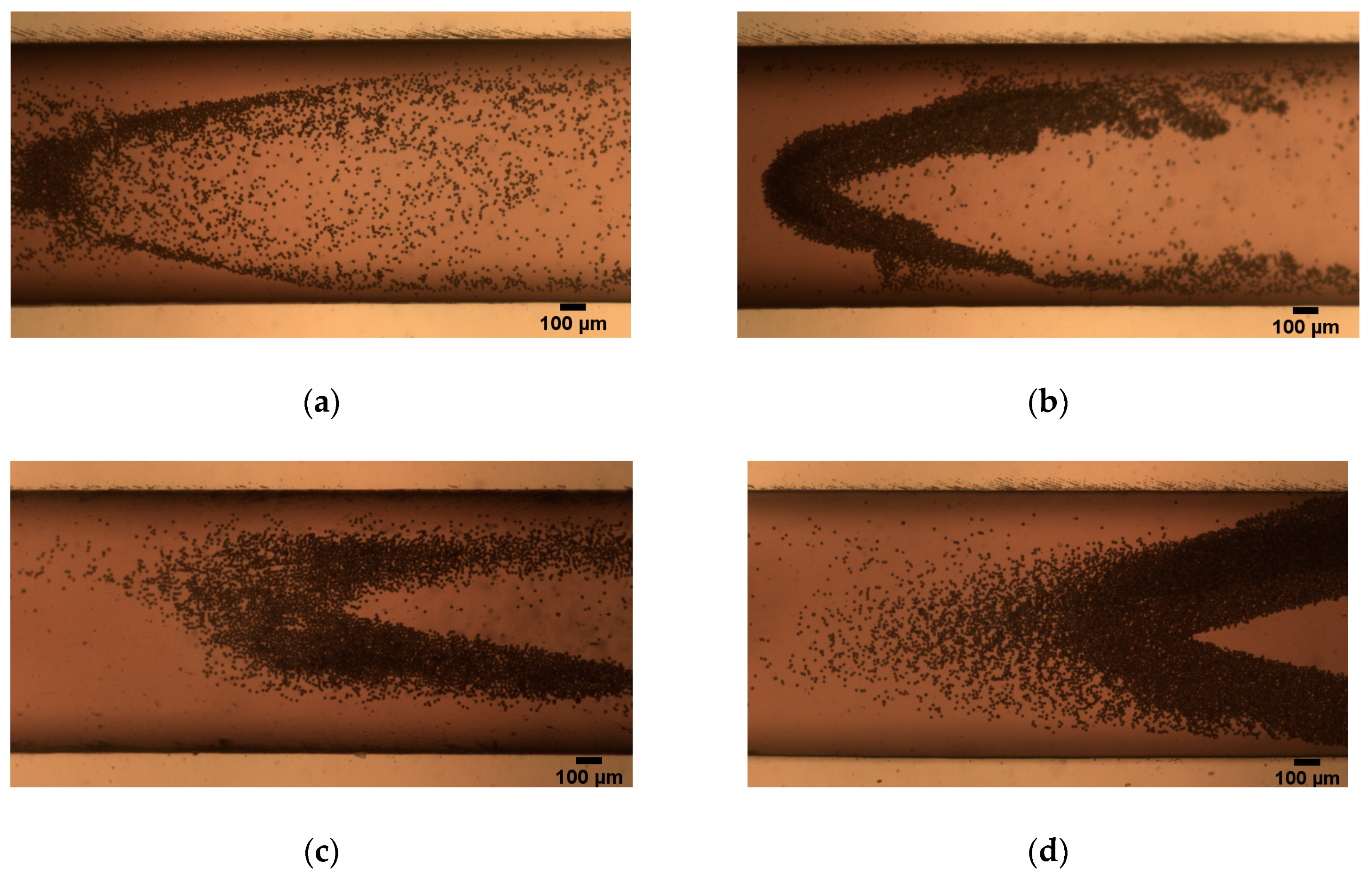 Micromachines 10 00056 g010