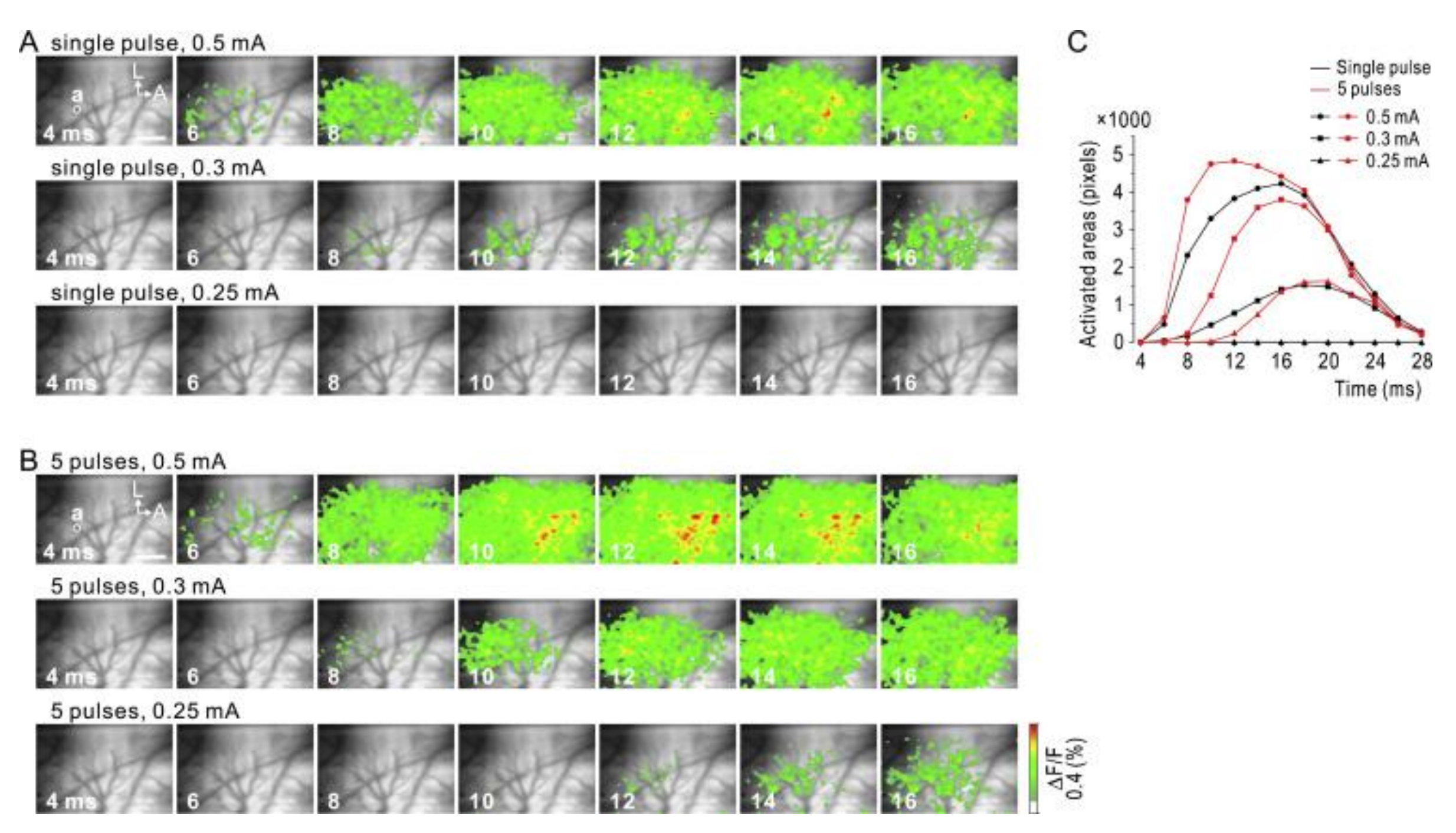 Micromachines 10 00062 g003