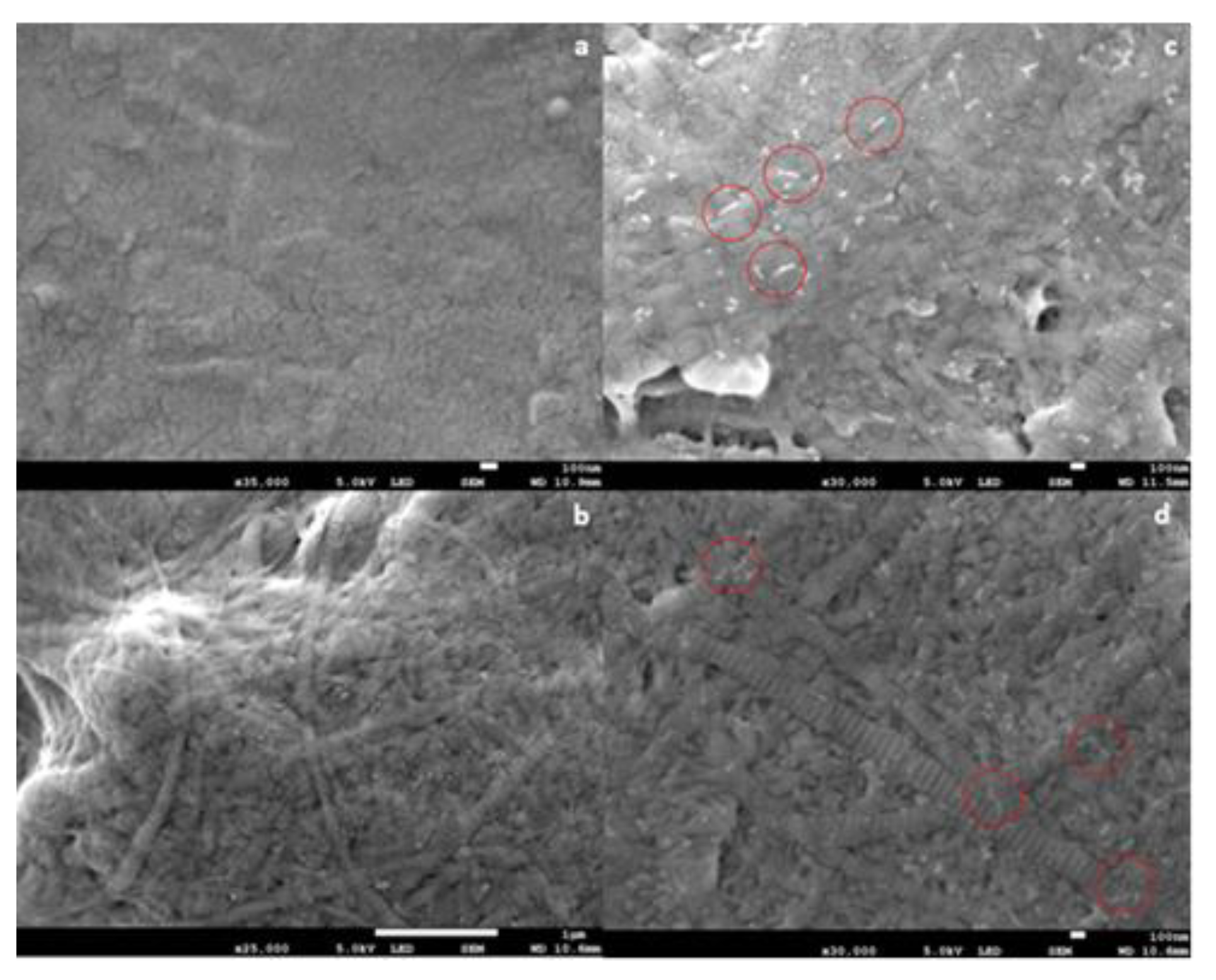 Micromachines 10 00068 g001