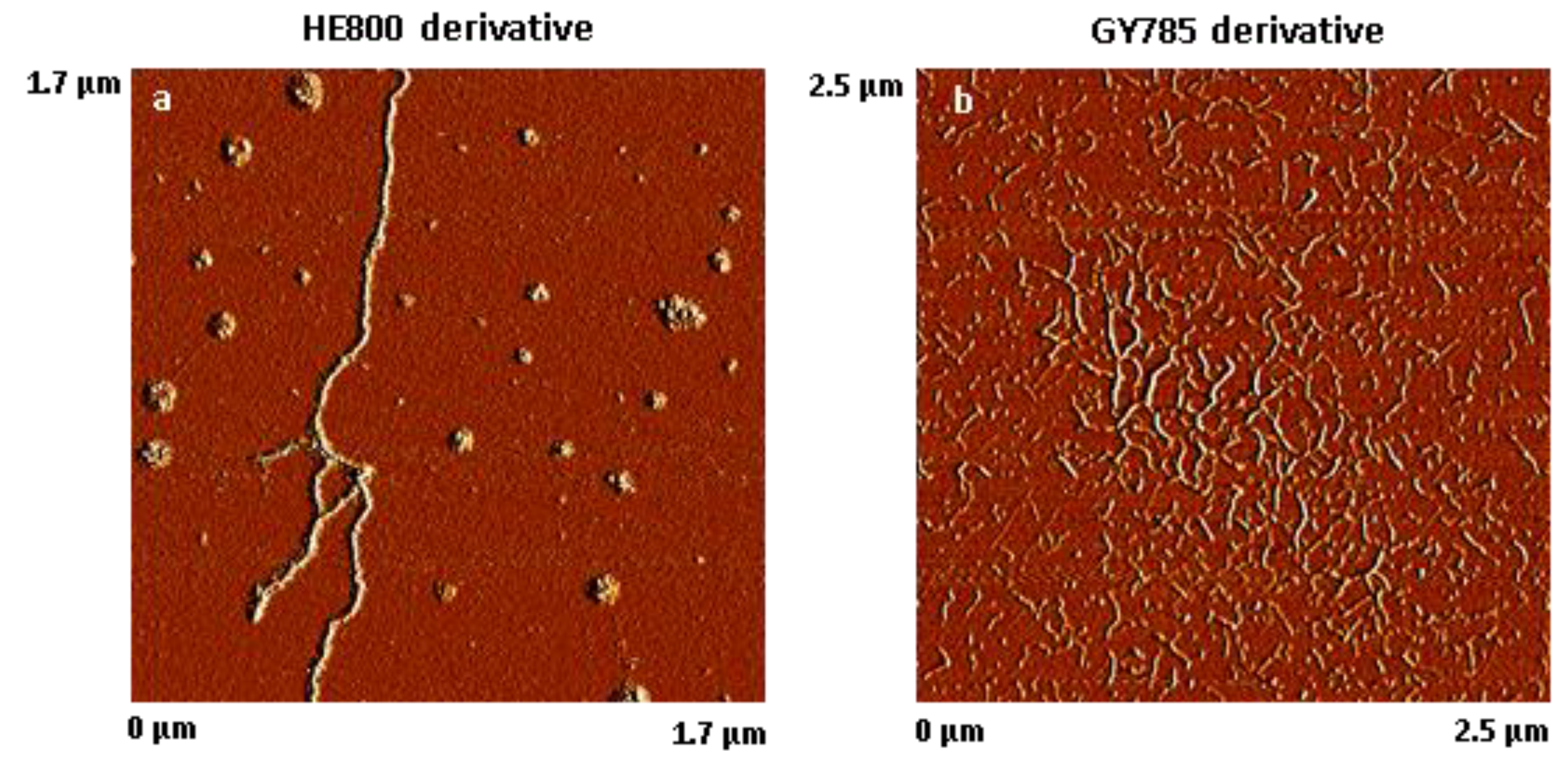Micromachines 10 00068 g002