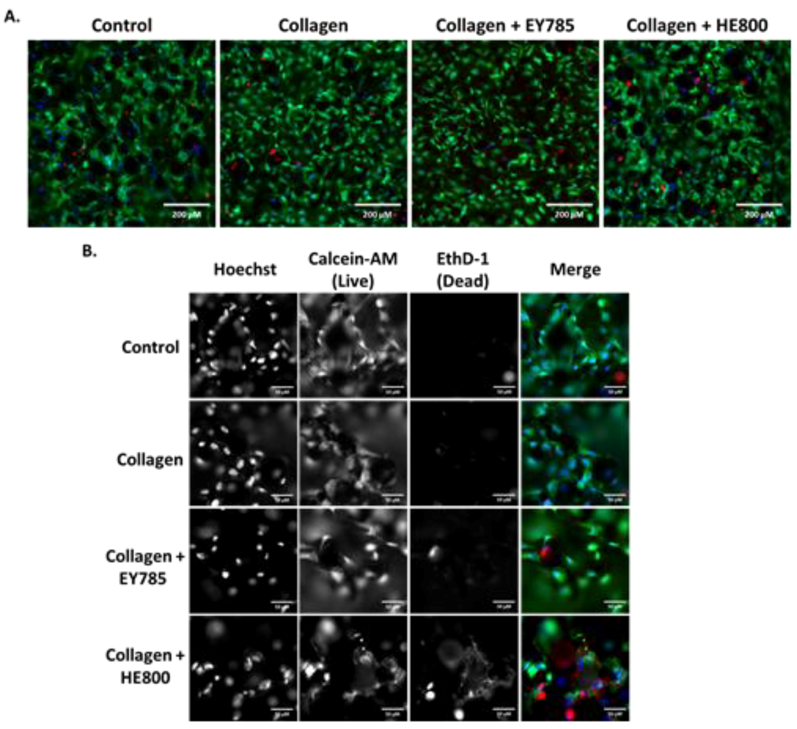 Micromachines 10 00068 g004