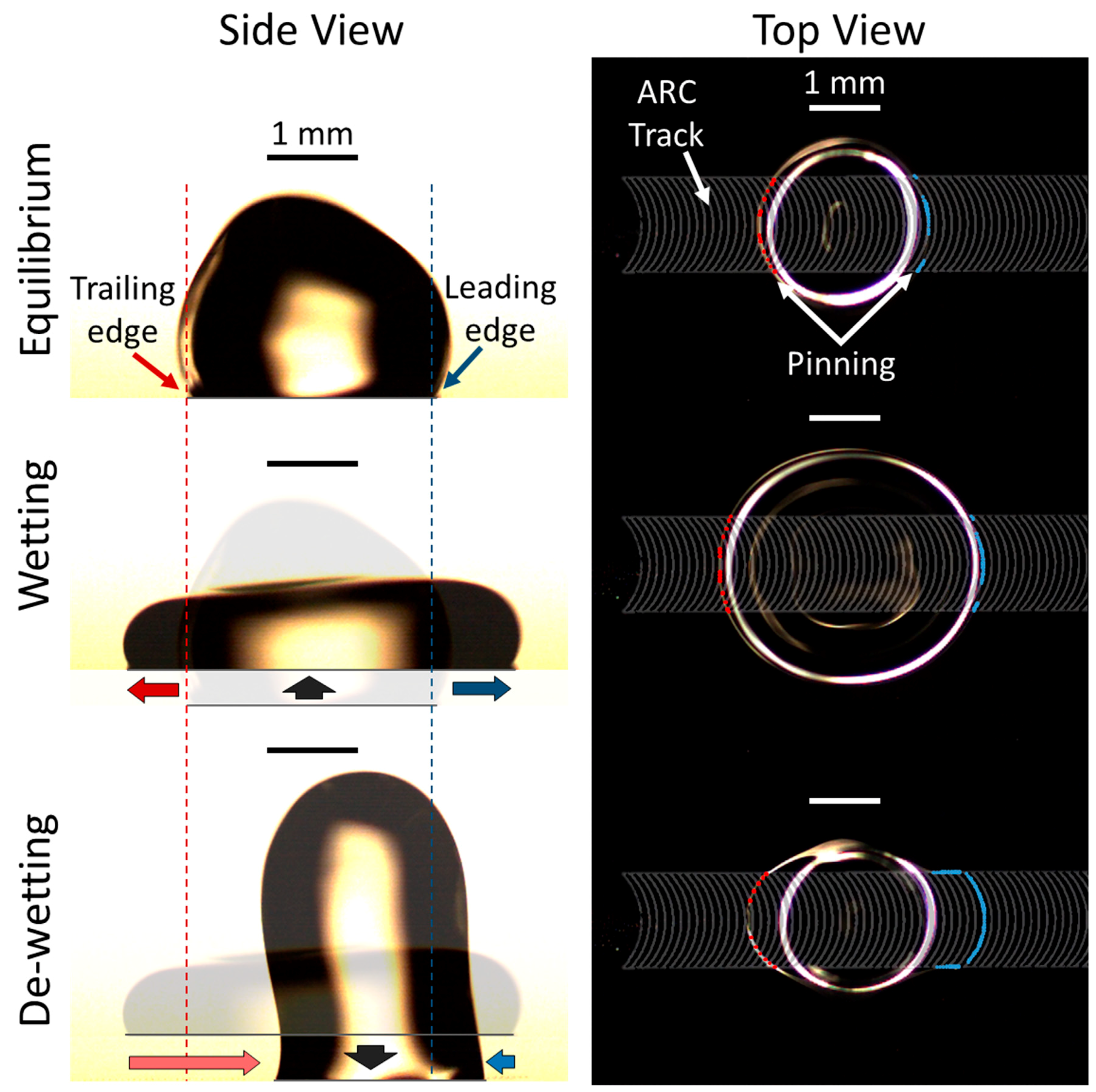 Micromachines 10 00069 g001