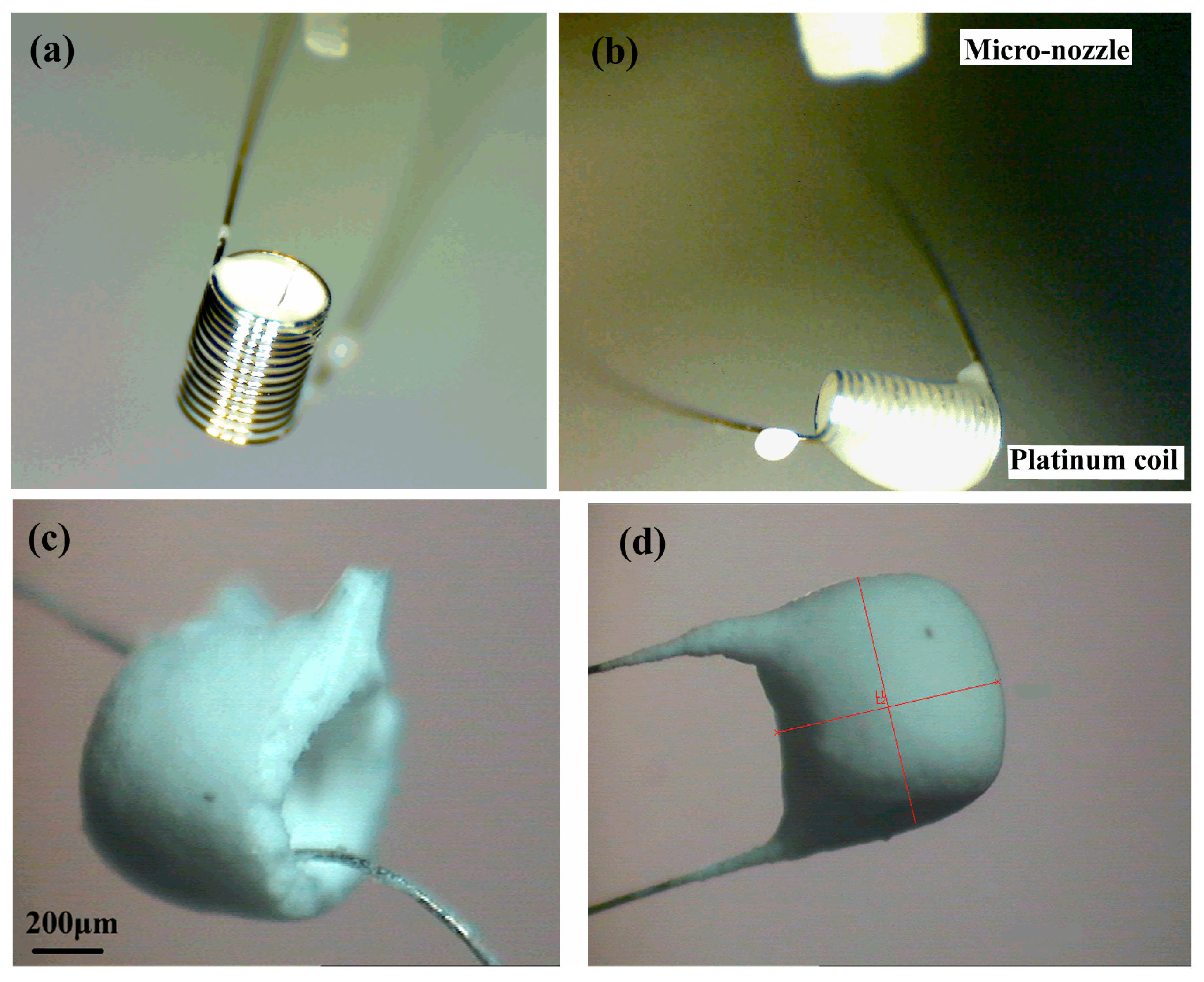 Micromachines 10 00071 g007