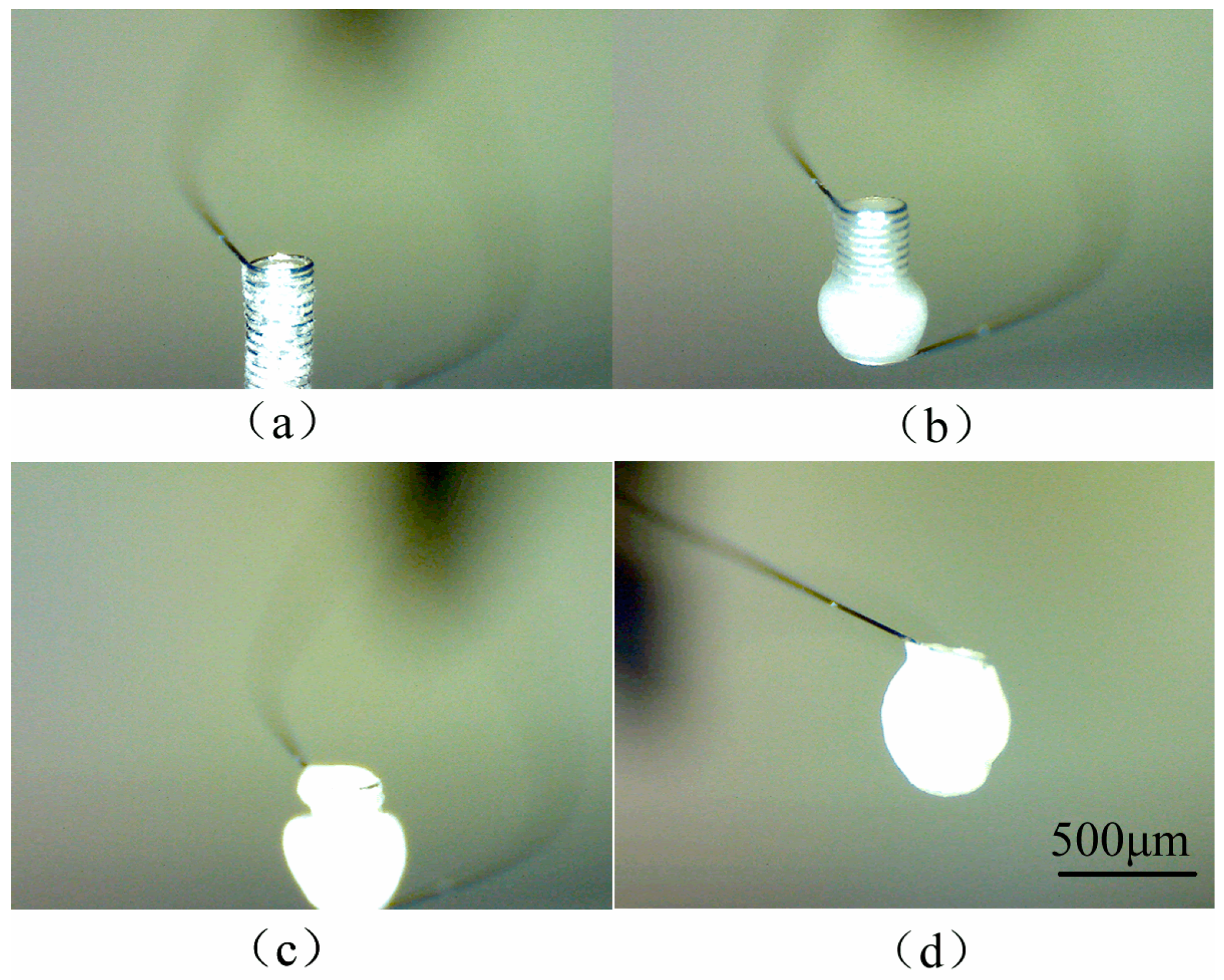 Micromachines 10 00071 g008