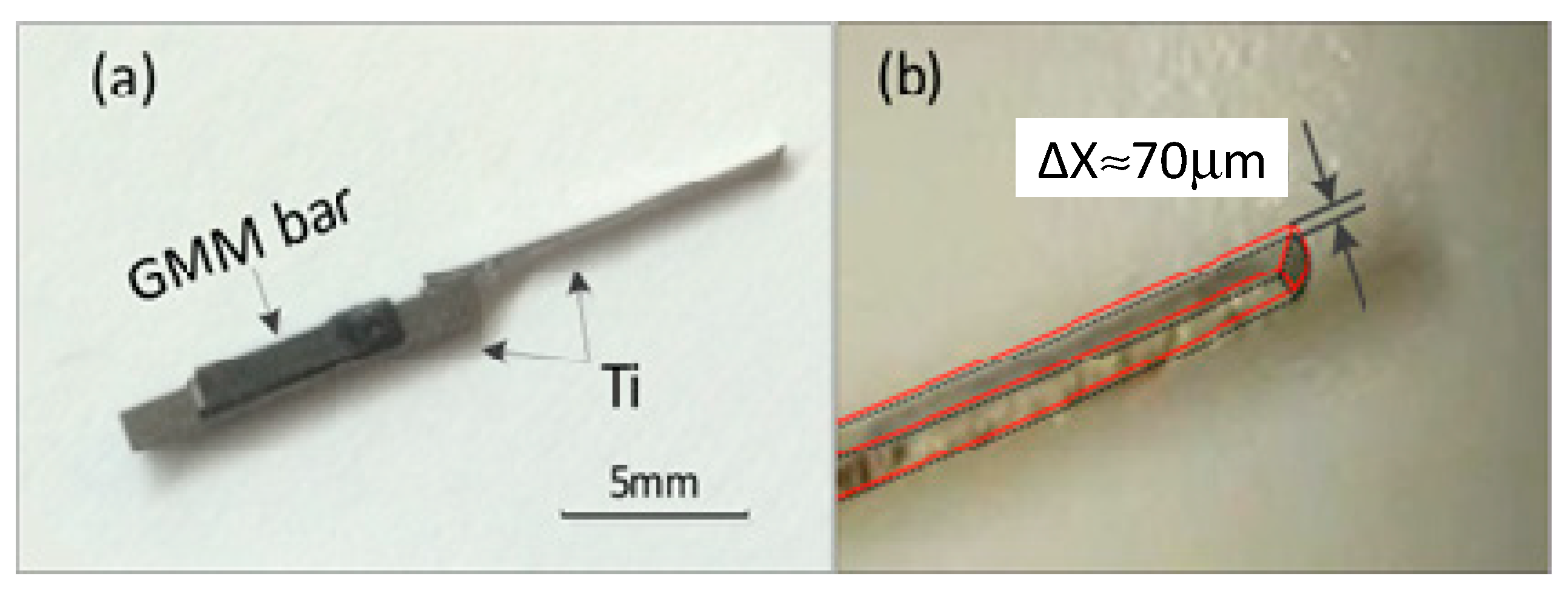 Micromachines 10 00074 g004