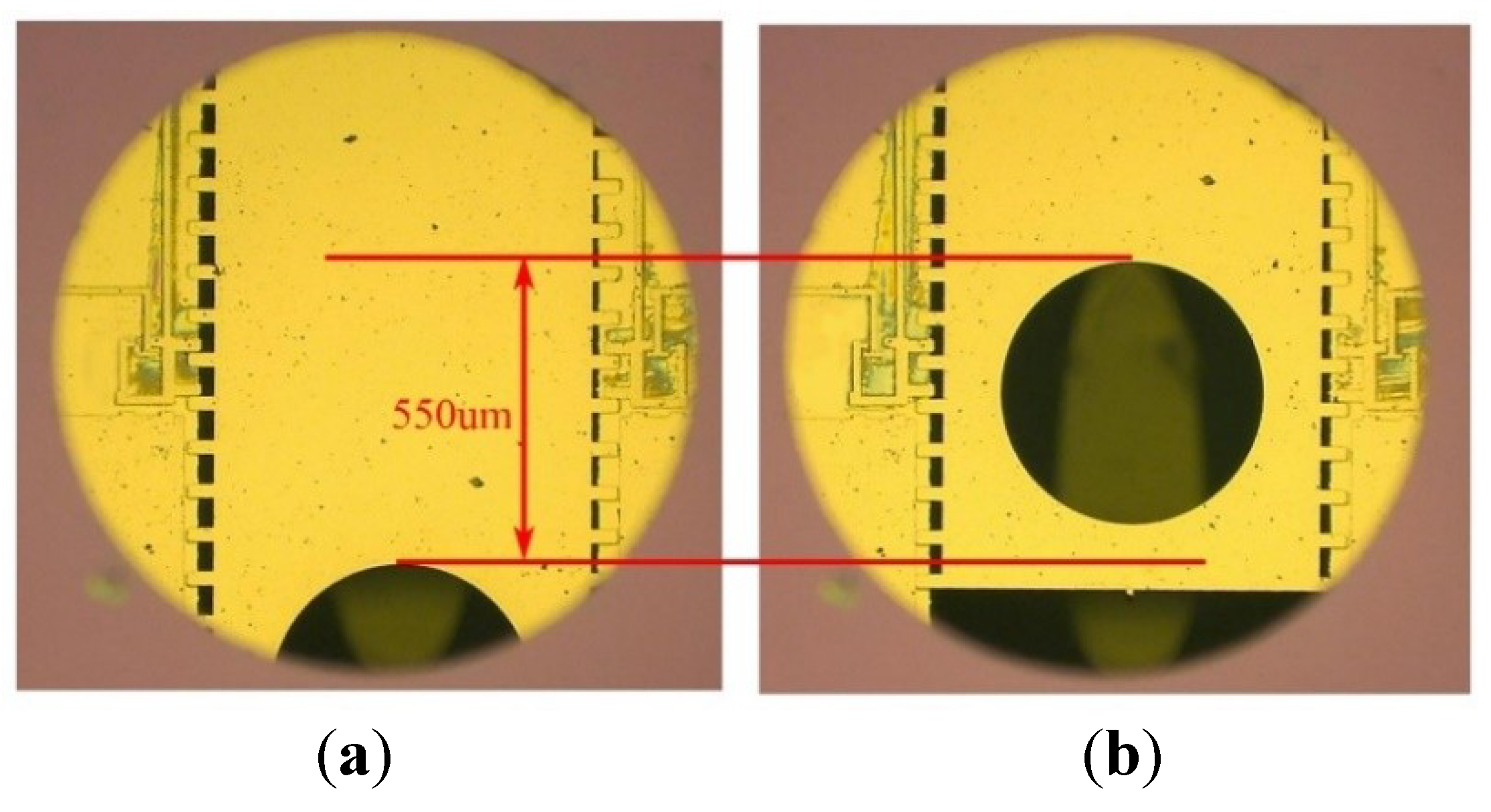 Micromachines 10 00076 g016