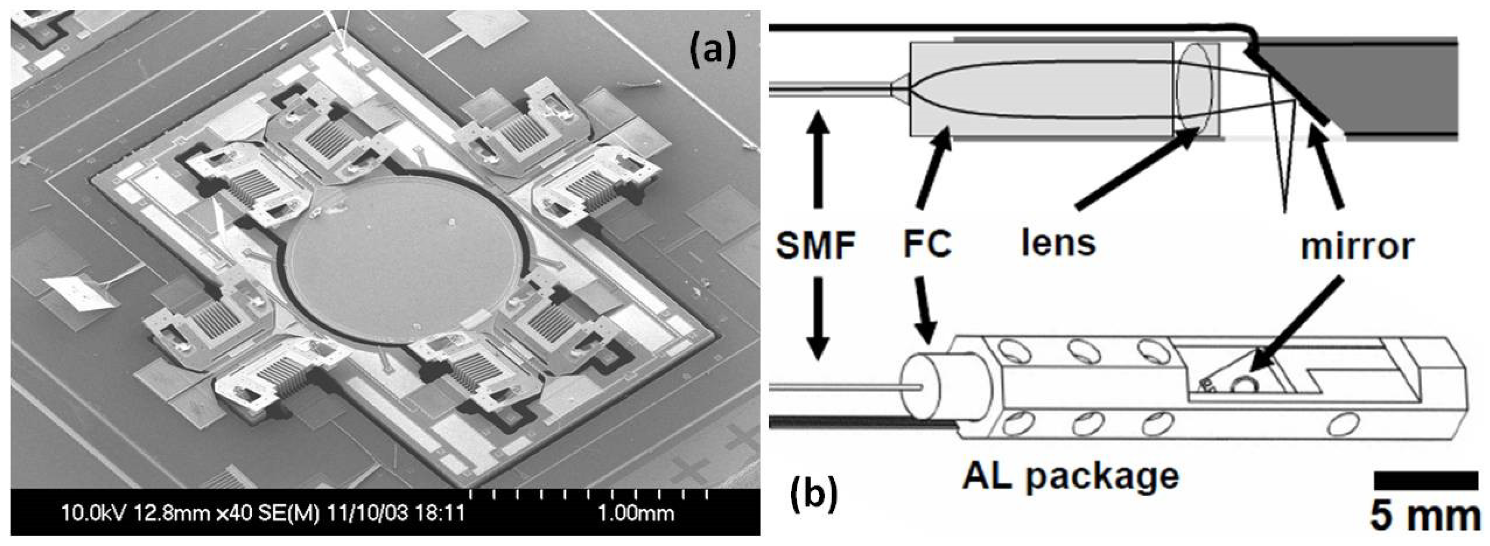 Micromachines 10 00085 g001
