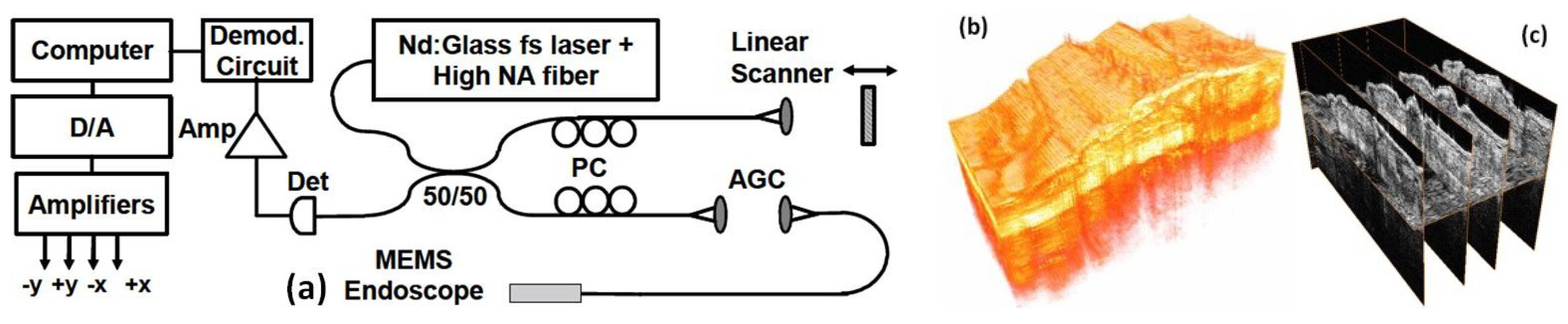 Micromachines 10 00085 g002