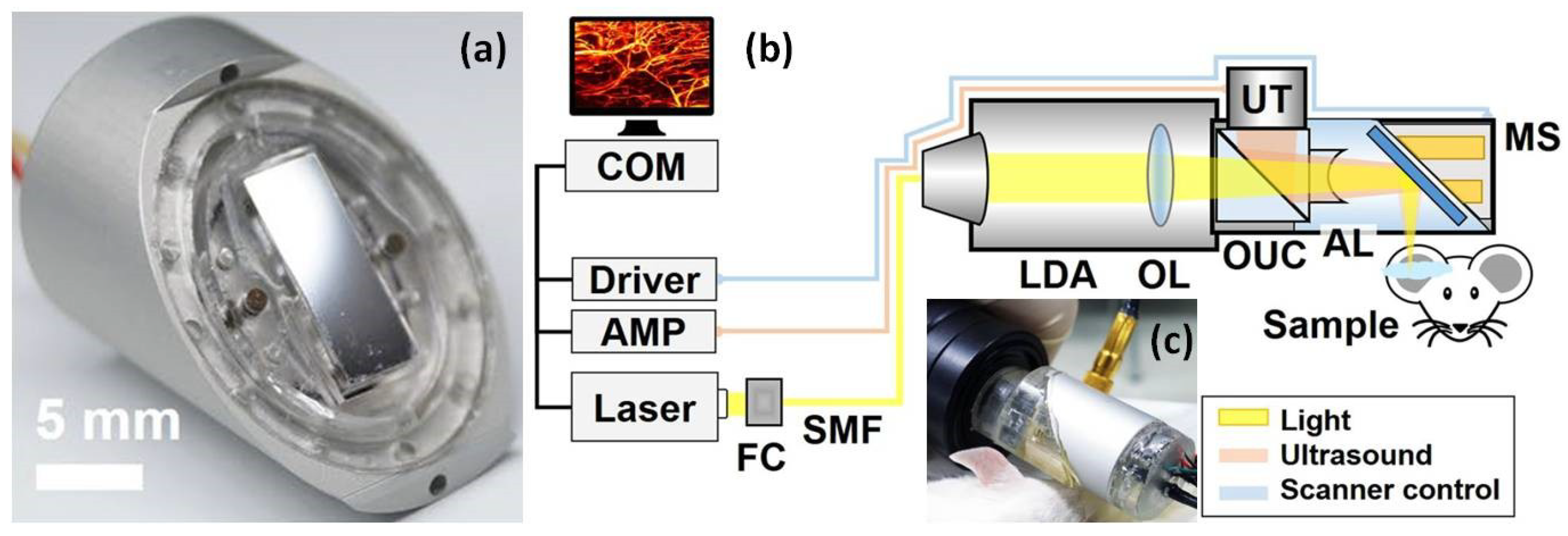 Micromachines 10 00085 g005