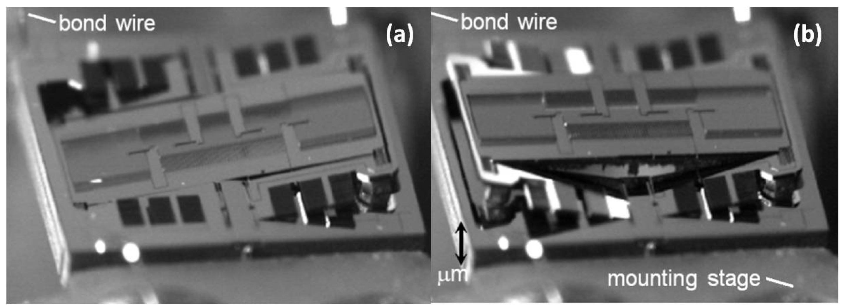 Micromachines 10 00085 g011